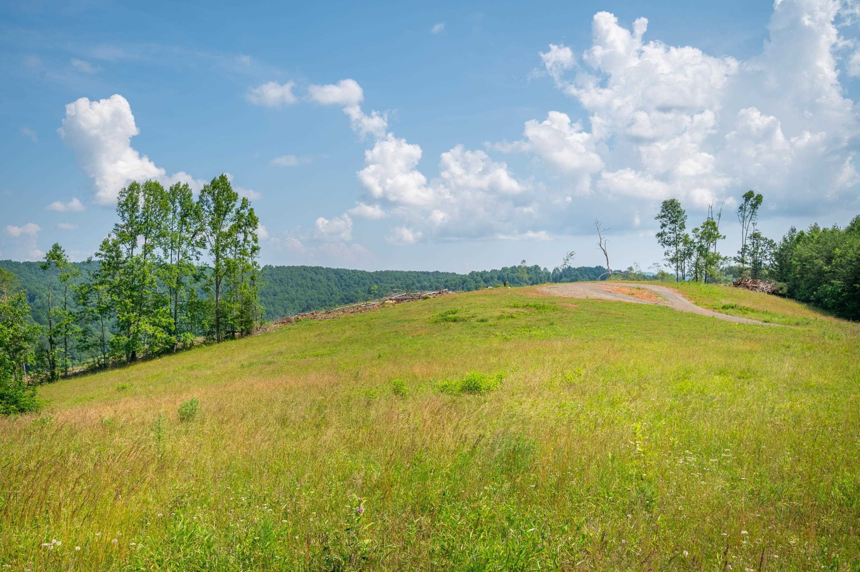000 Fairhaven Drive Dugspur VA 24325