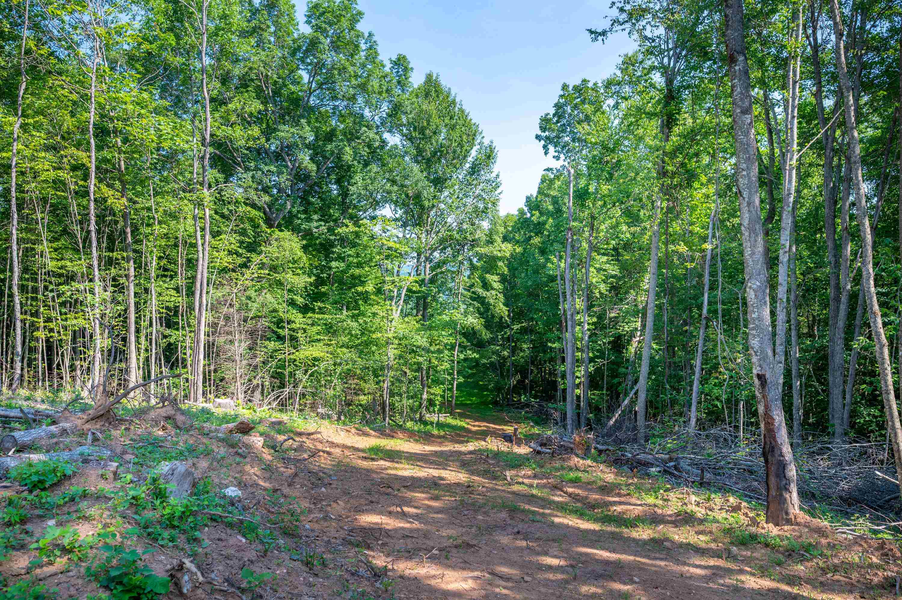 000 Fairhaven Drive Dugspur VA 24325
