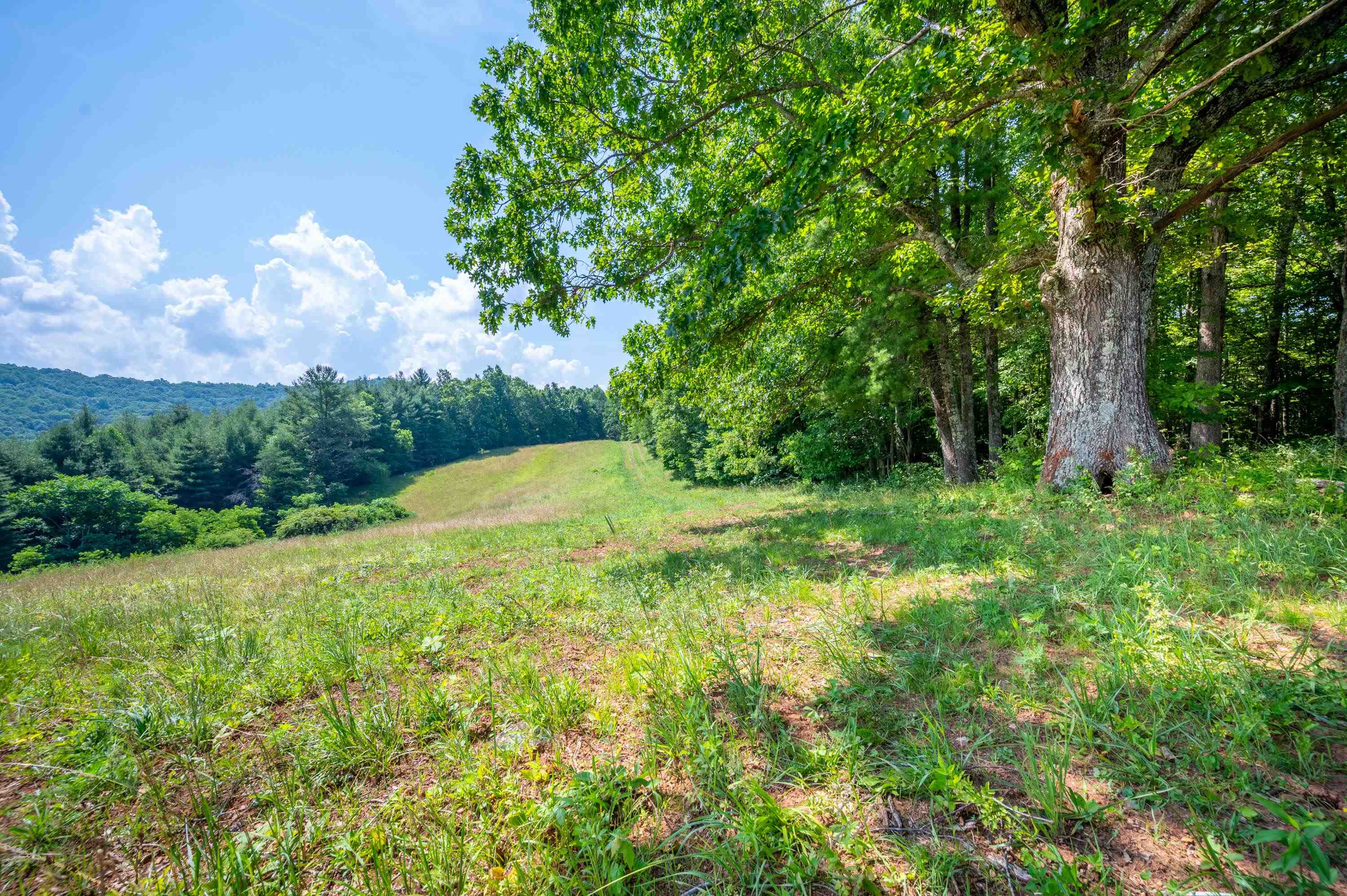 000 Fairhaven Drive Dugspur VA 24325