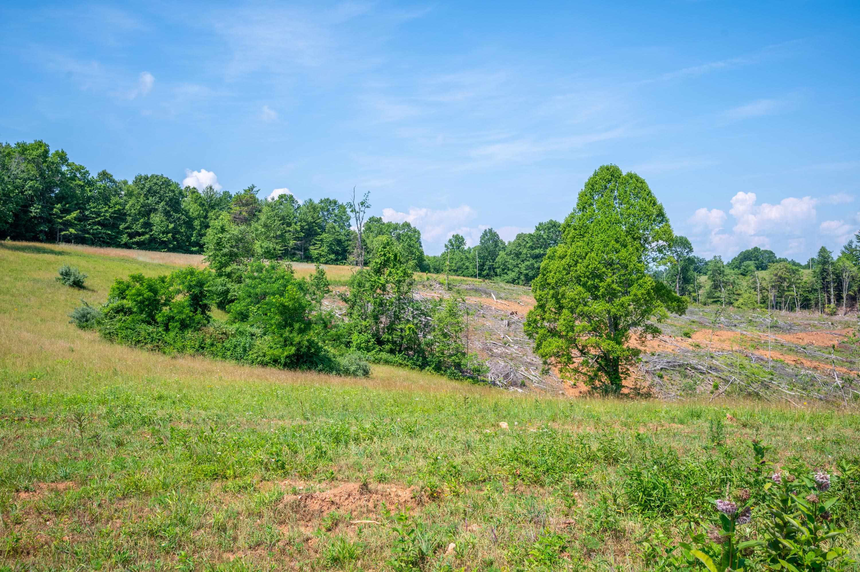 000 Fairhaven Drive Dugspur VA 24325