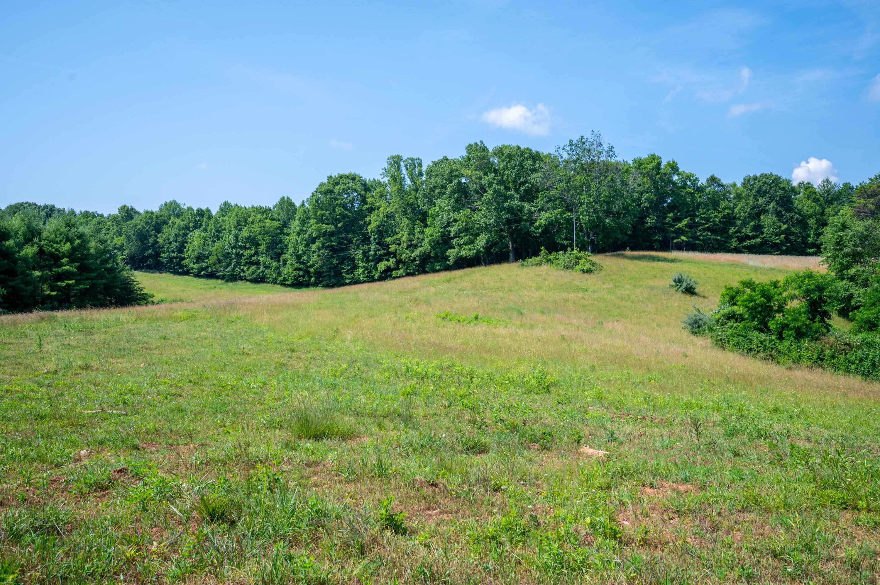 000 Fairhaven Drive Dugspur VA 24325