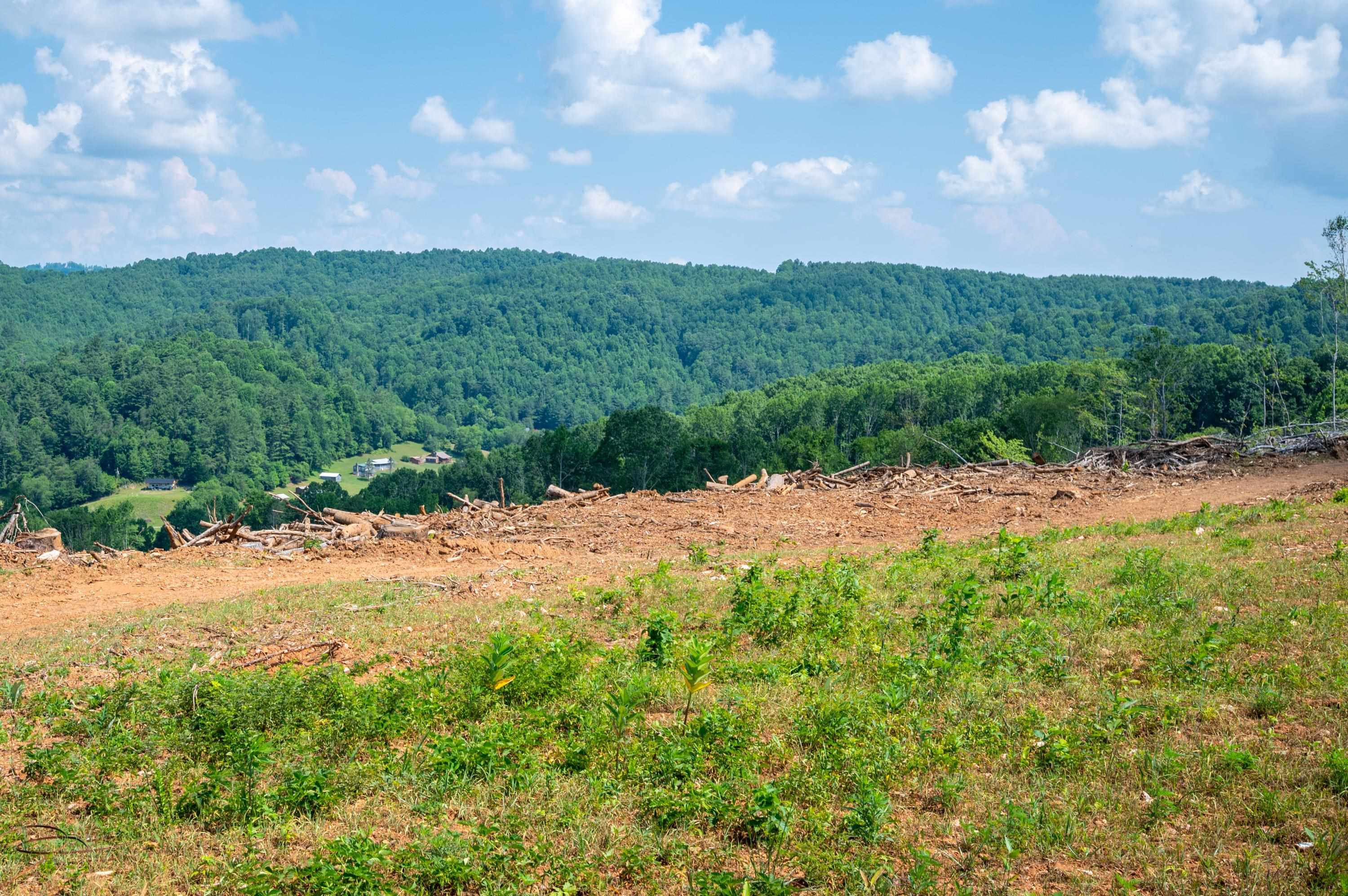 000 Fairhaven Drive Dugspur VA 24325