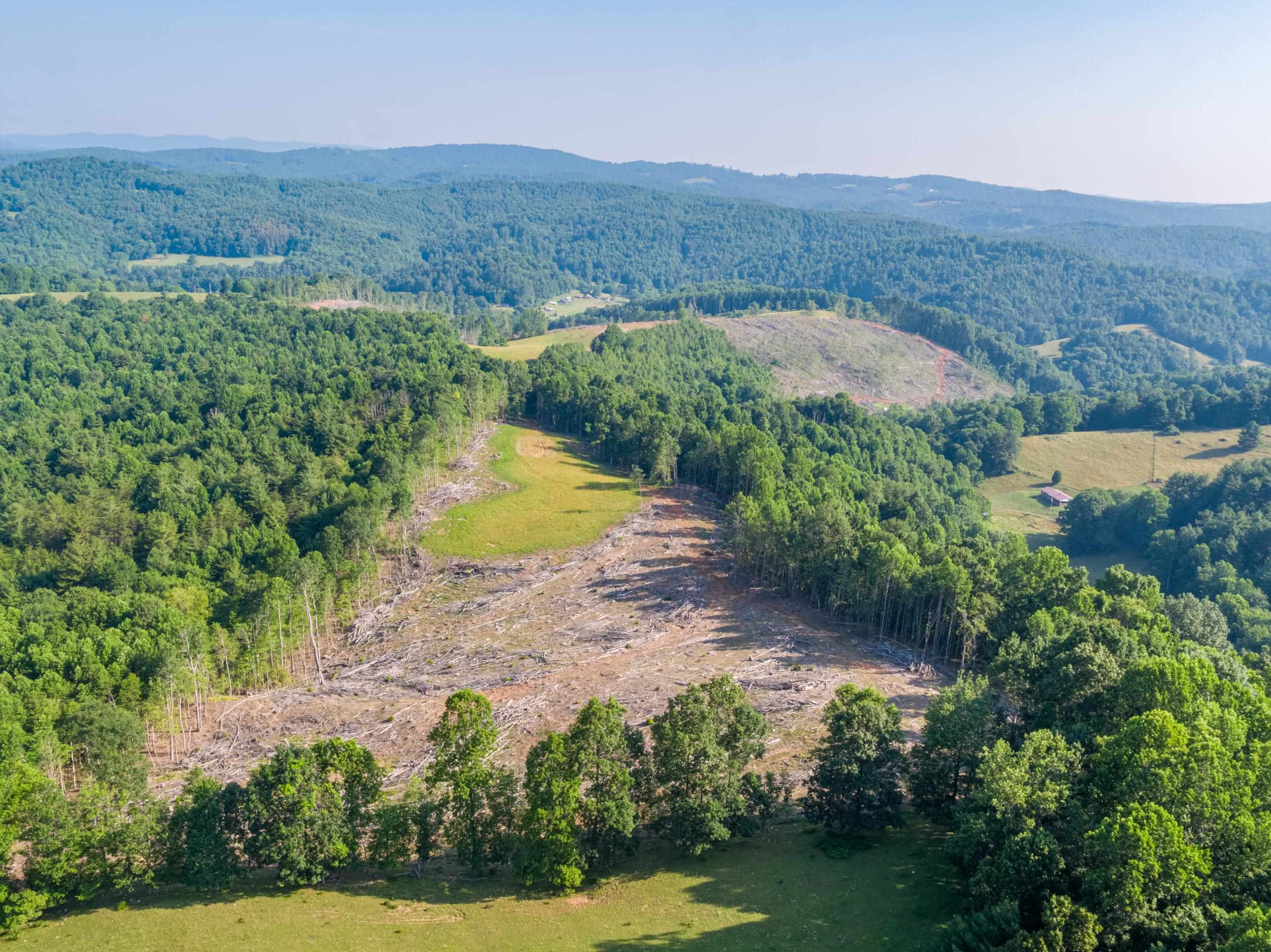 000 Fairhaven Drive Dugspur VA 24325