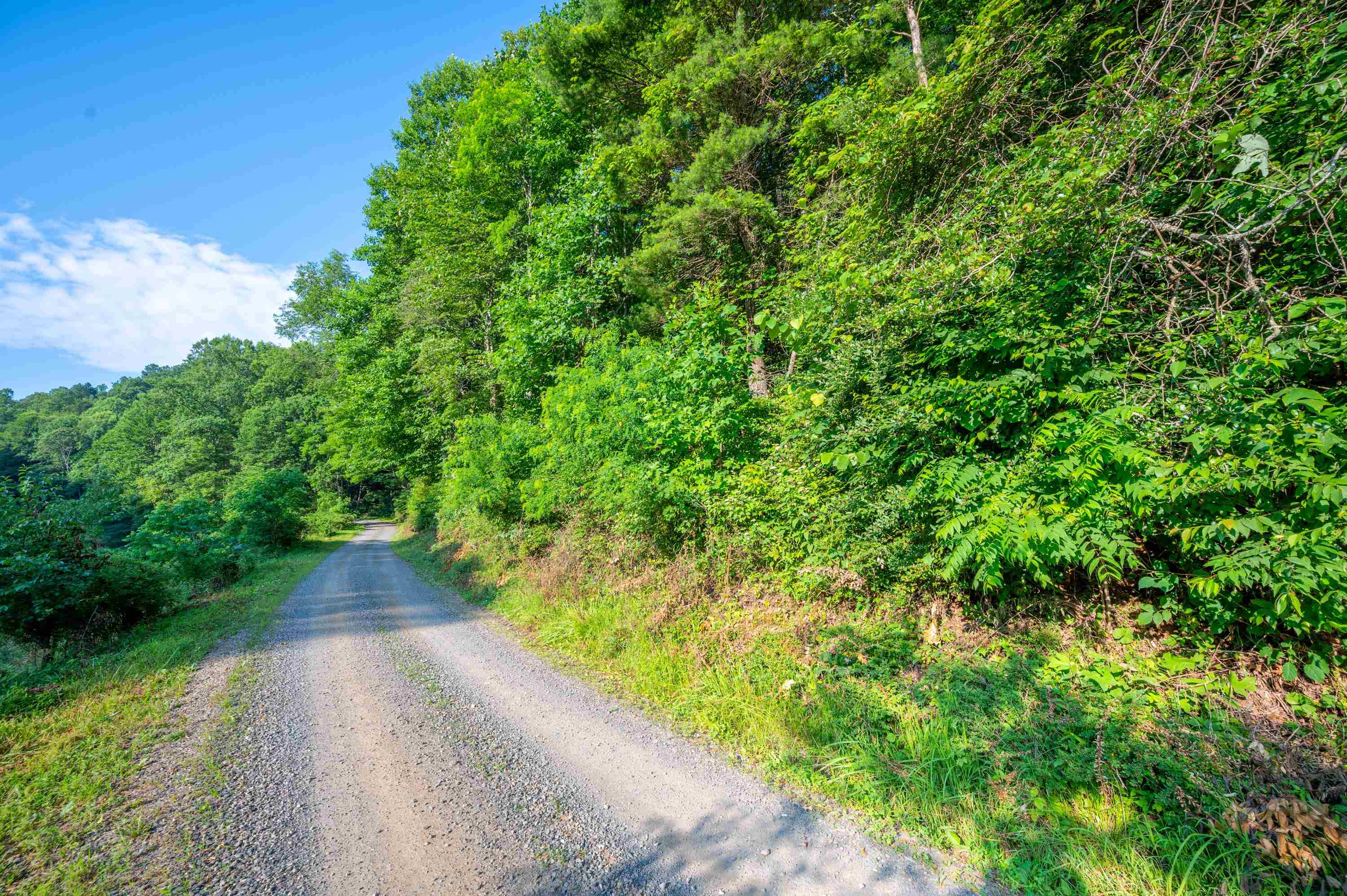000 Fairhaven Drive Dugspur VA 24325