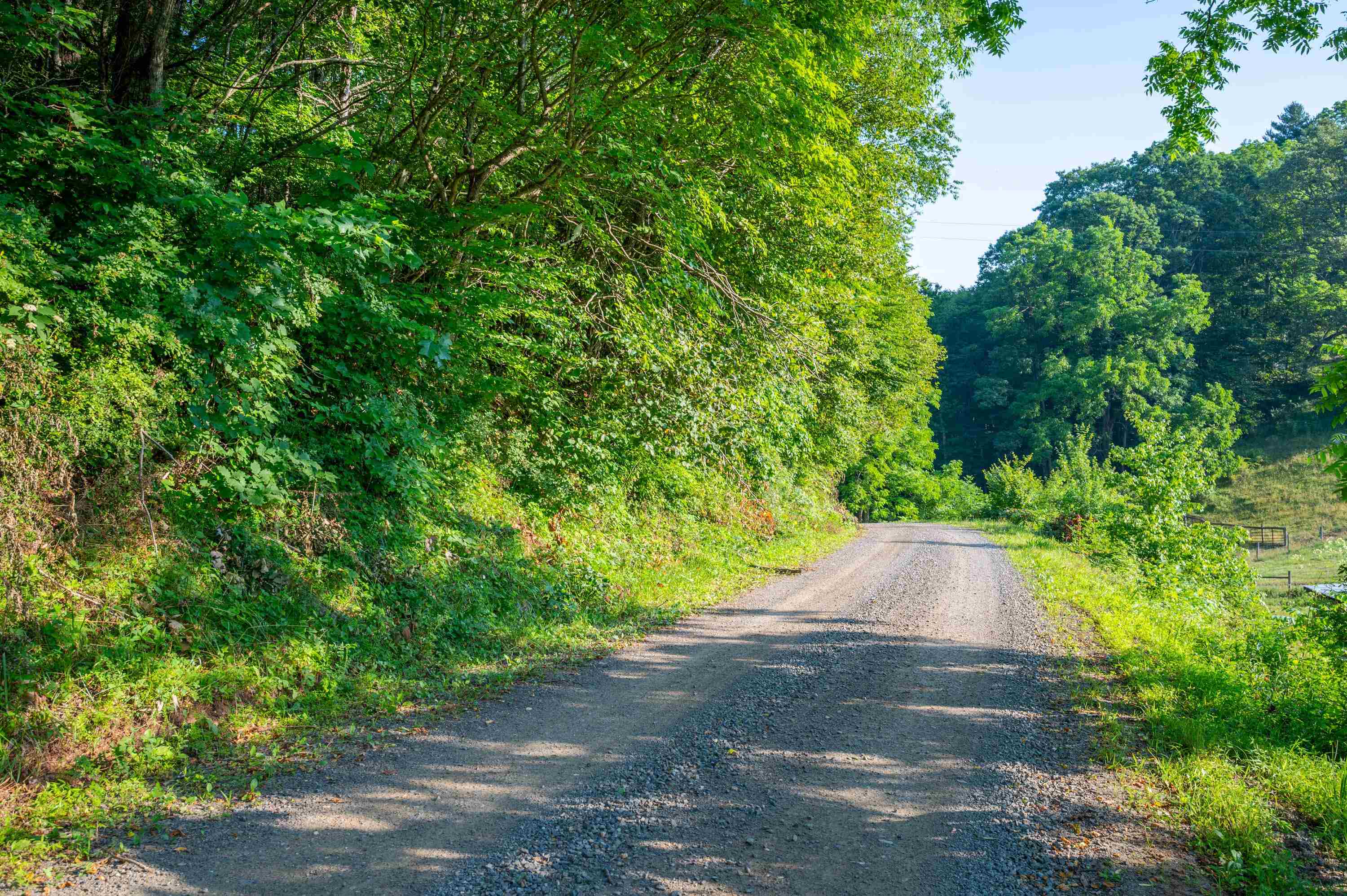 000 Fairhaven Drive Dugspur VA 24325