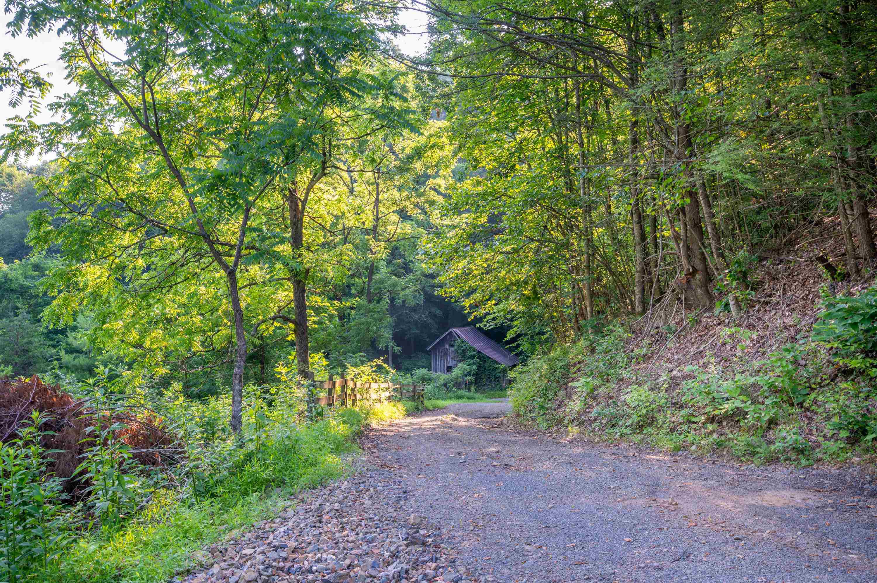000 Fairhaven Drive Dugspur VA 24325