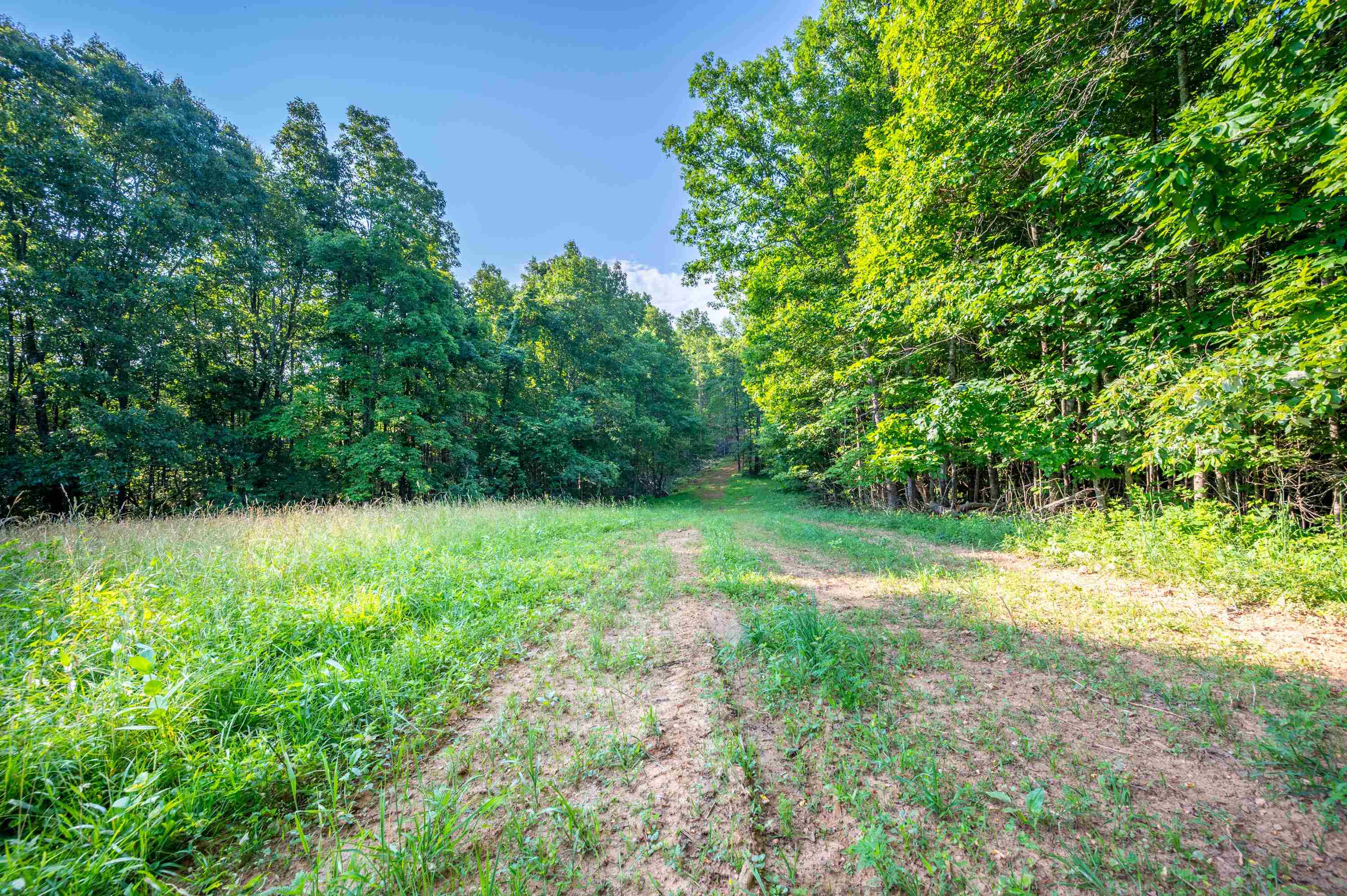 000 Fairhaven Drive Dugspur VA 24325
