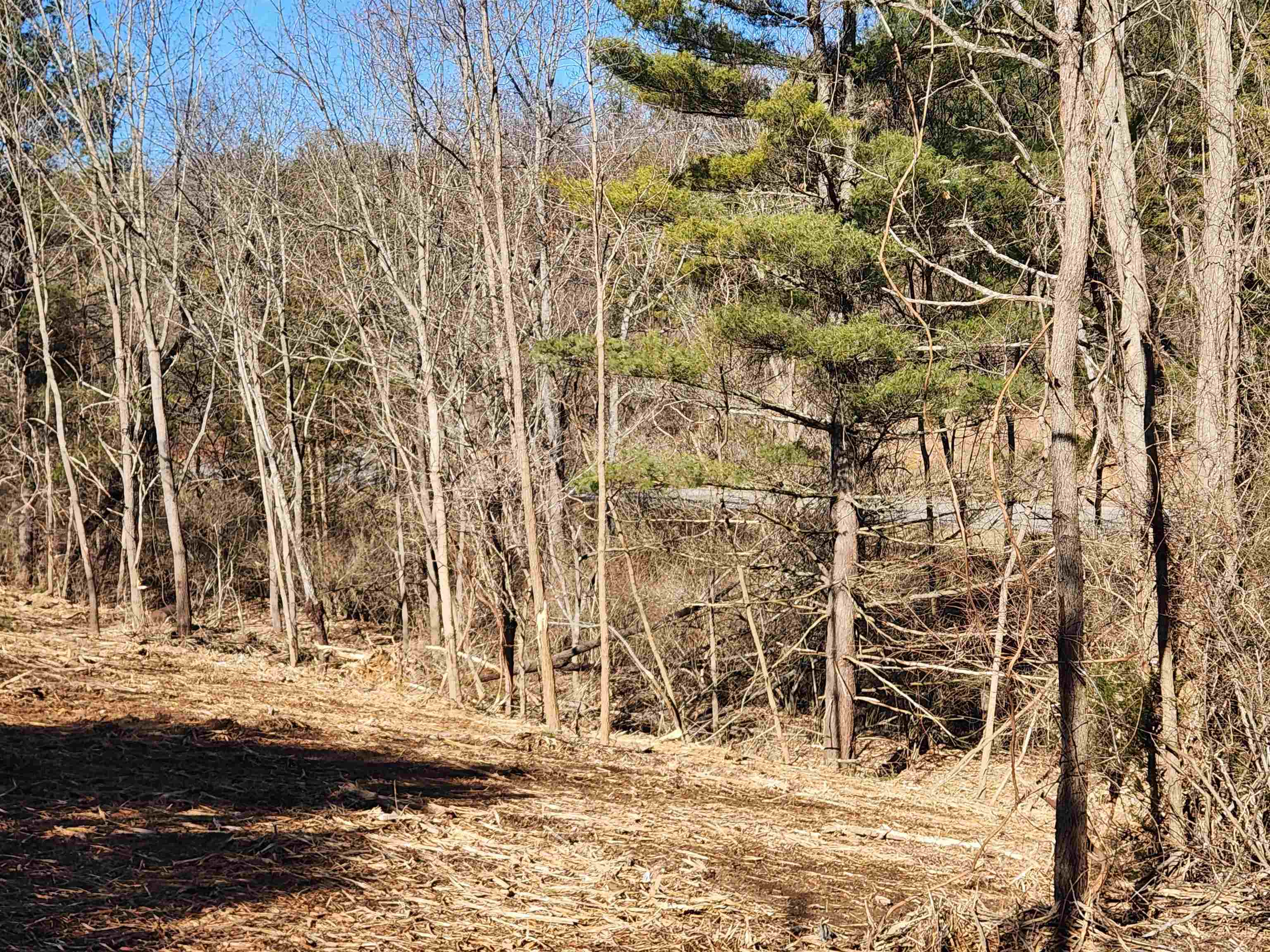 6785 Lee Highway Radford VA 24141