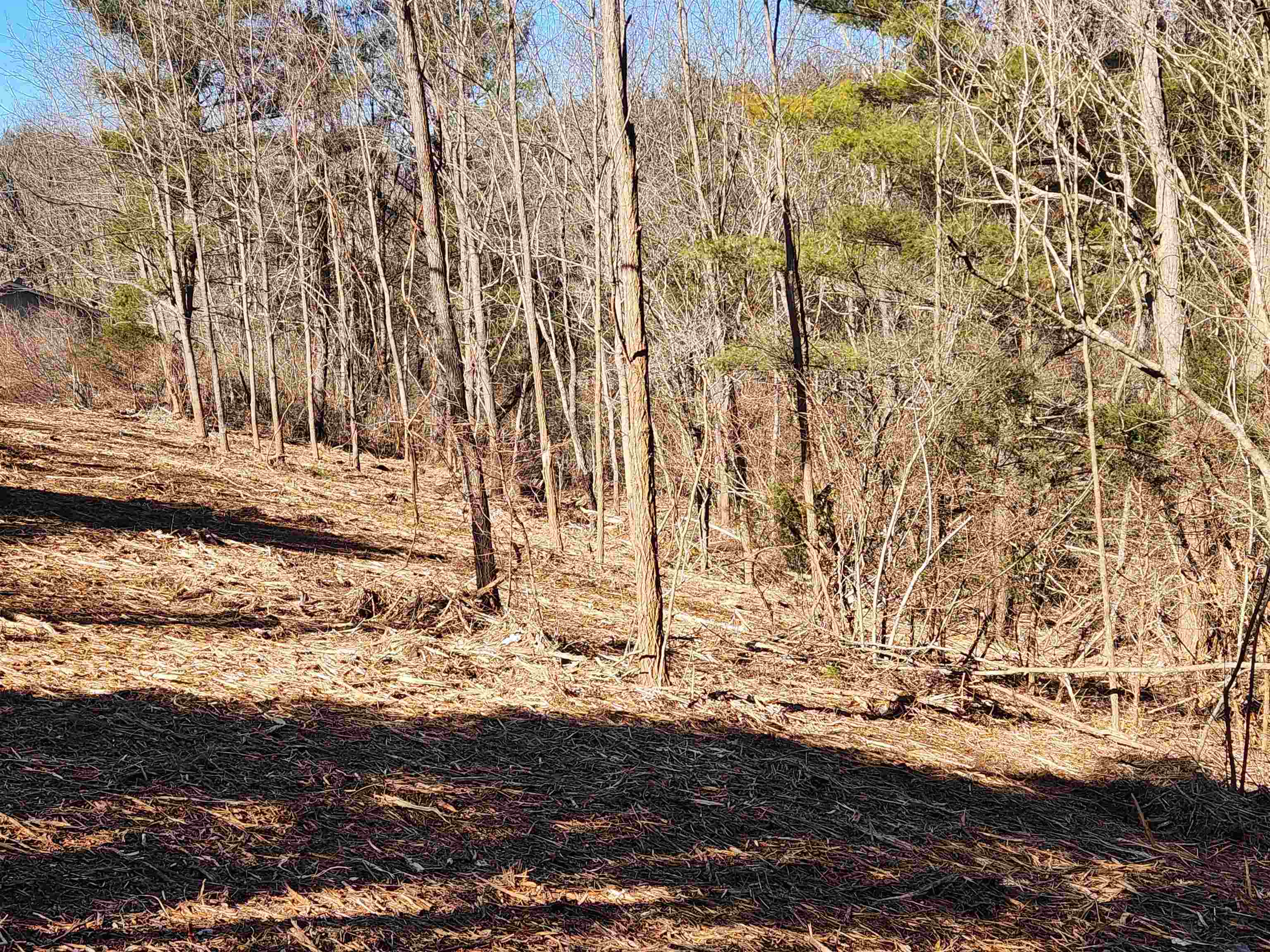 6785 Lee Highway Radford VA 24141