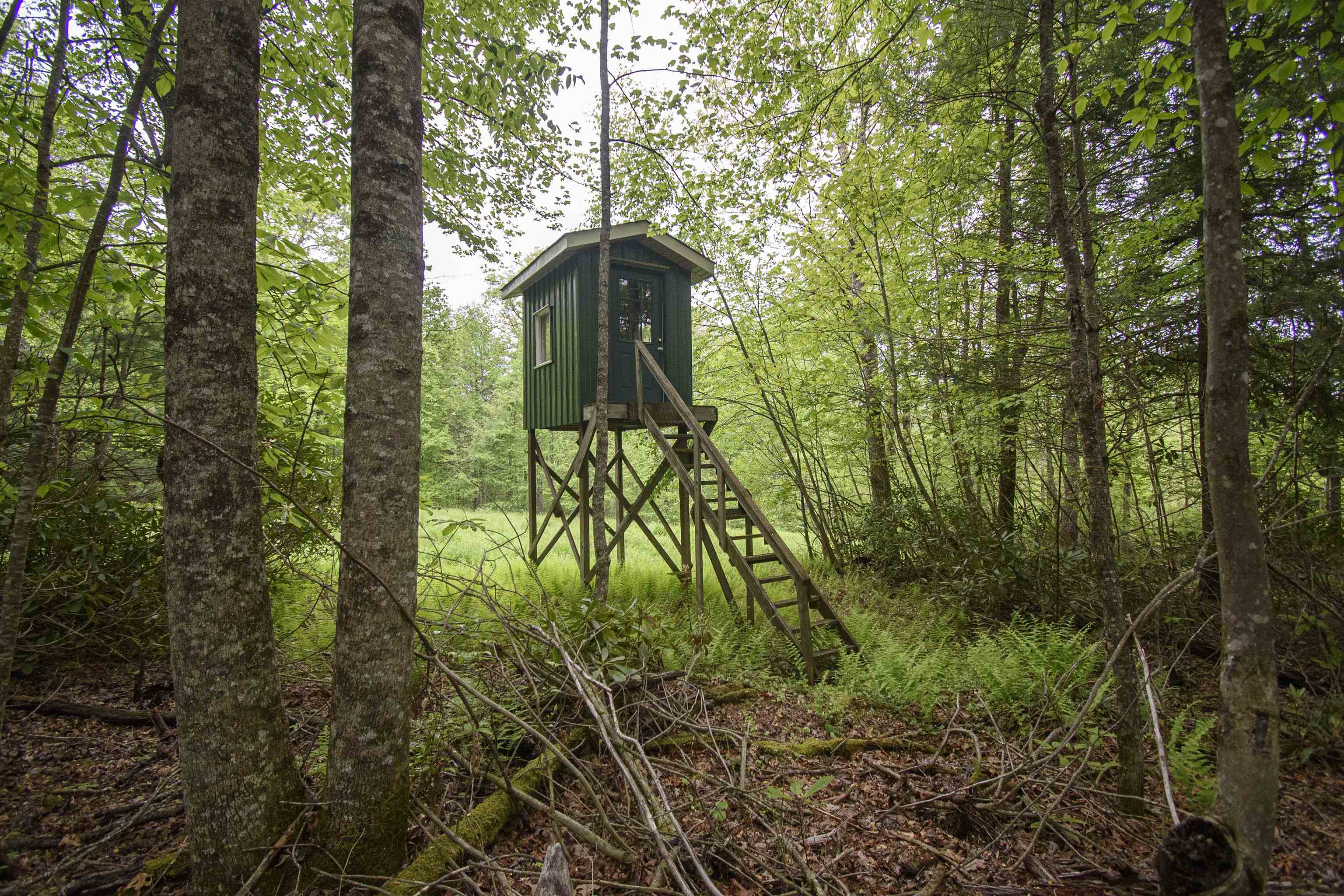 Tbd Keno Road Laurel Fork VA 24352