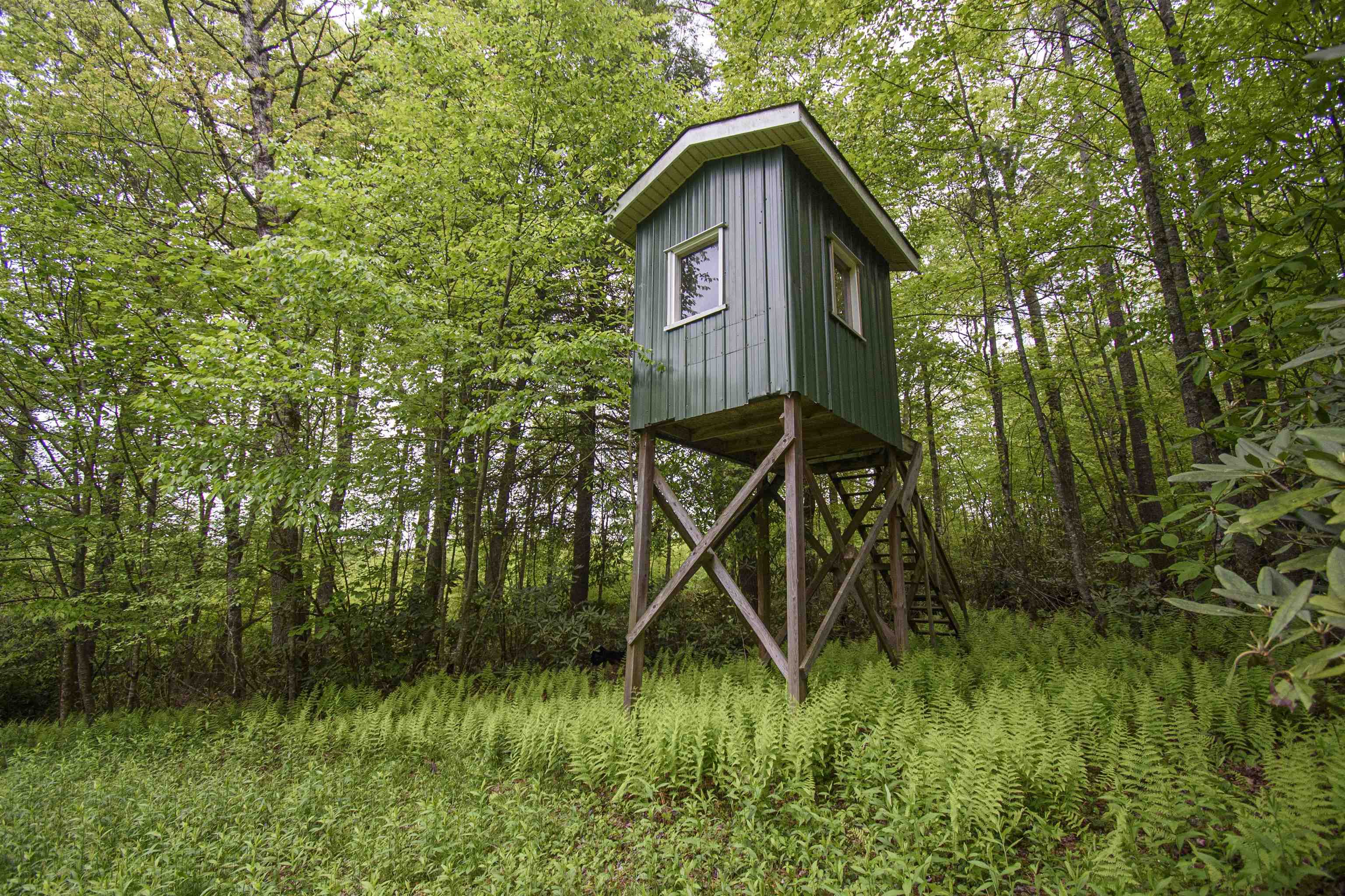 Tbd Keno Road Laurel Fork VA 24352