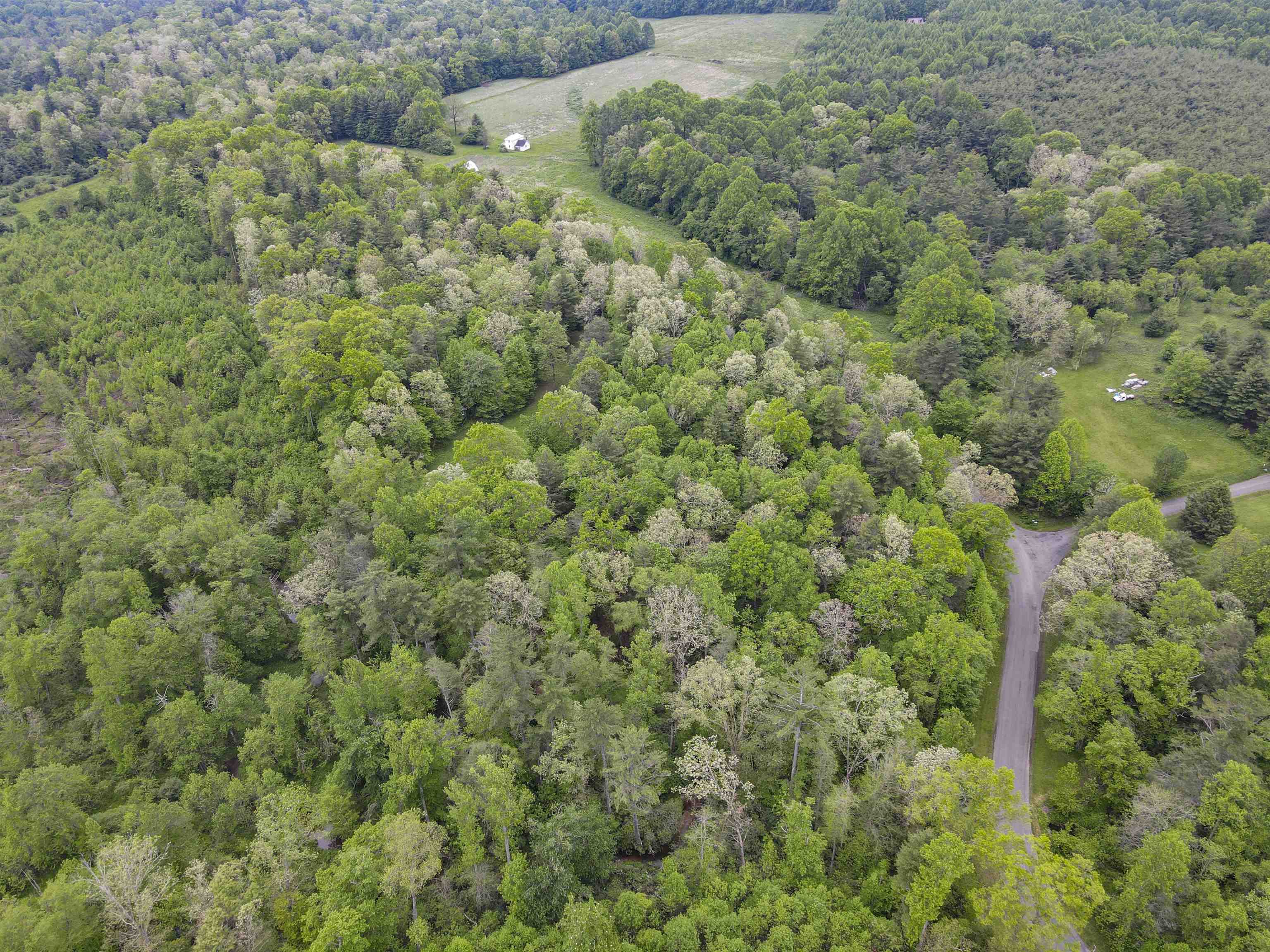 Tbd Keno Road Laurel Fork VA 24352