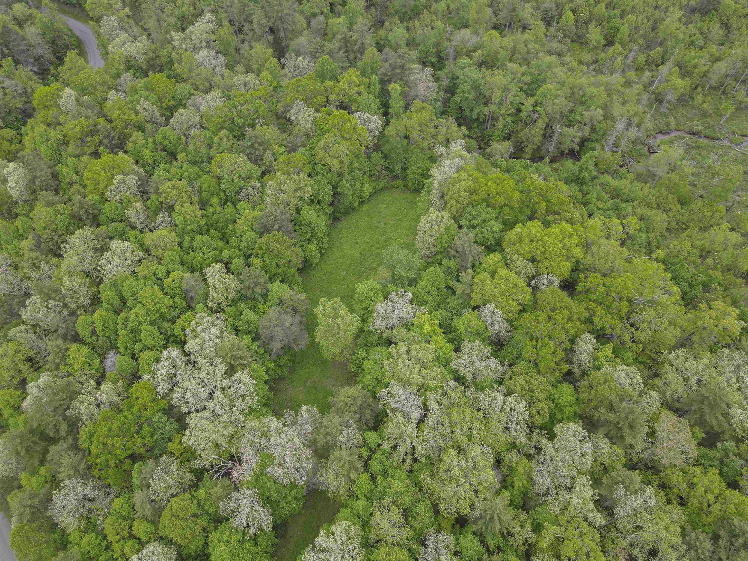 Tbd Keno Road Laurel Fork VA 24352