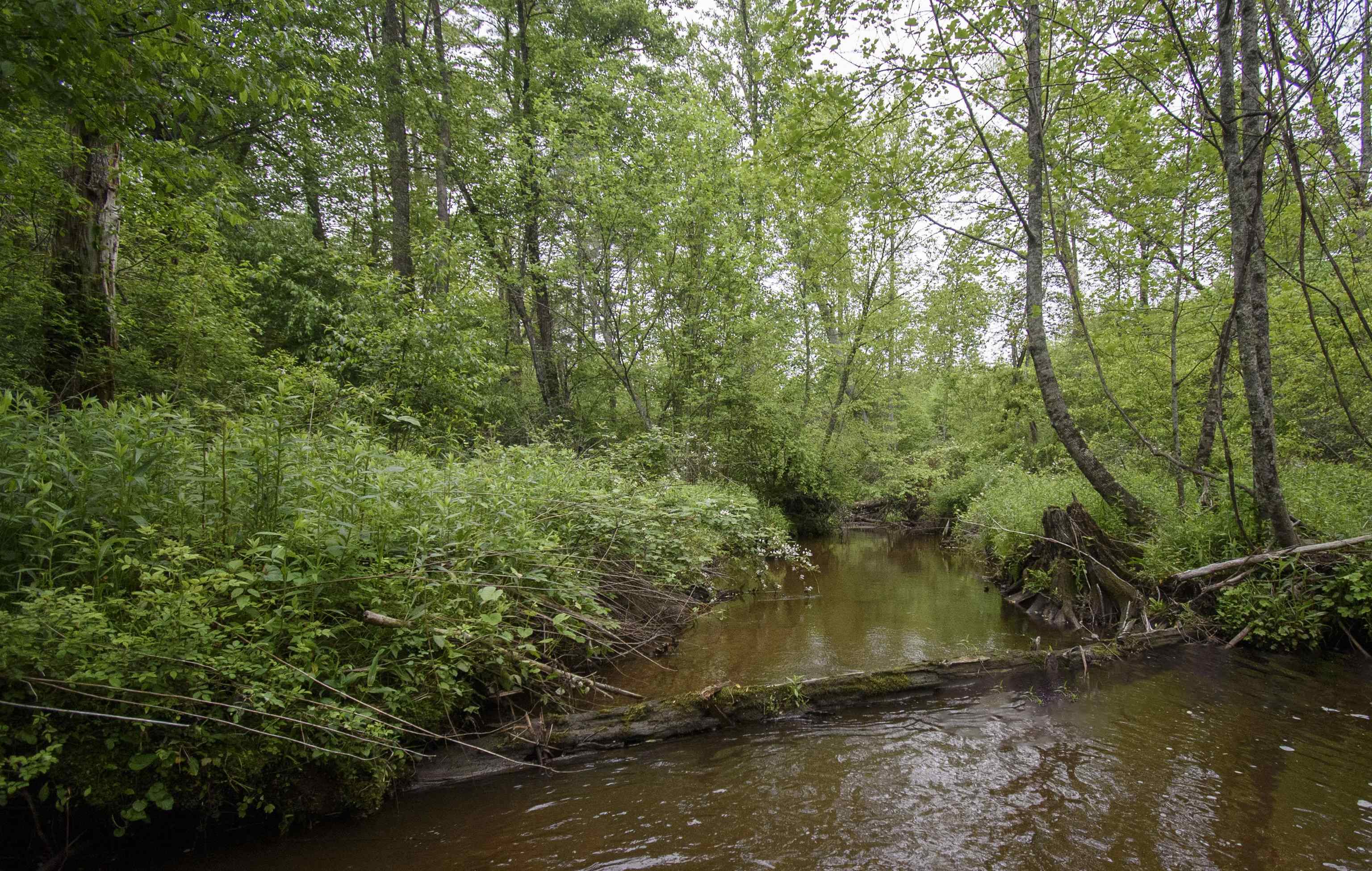 Tbd Keno Road Laurel Fork VA 24352