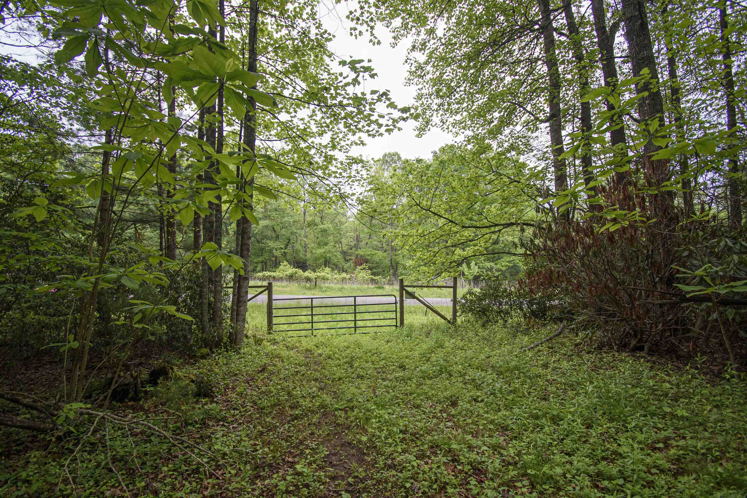 Tbd Keno Road Laurel Fork VA 24352