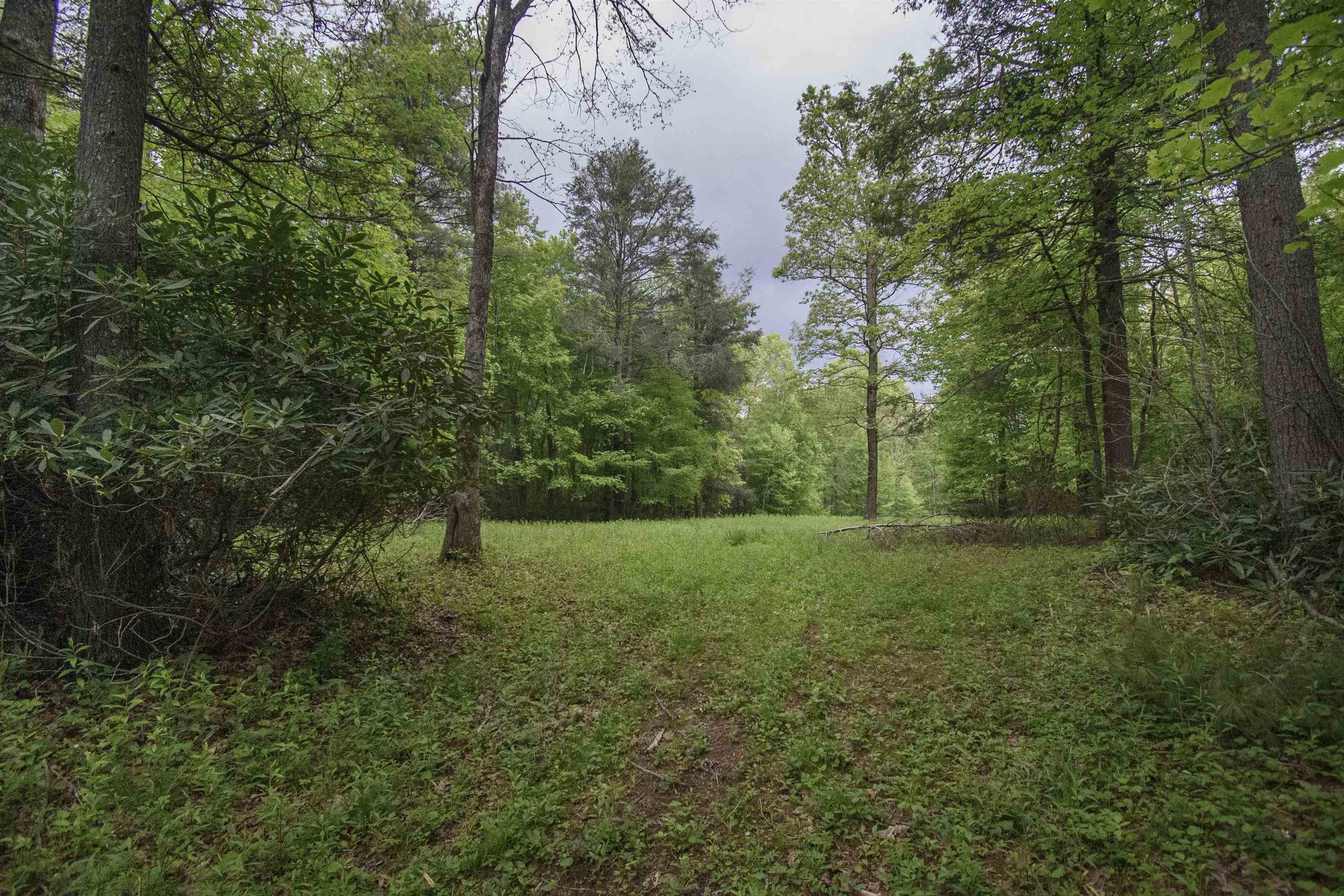 Tbd Keno Road Laurel Fork VA 24352