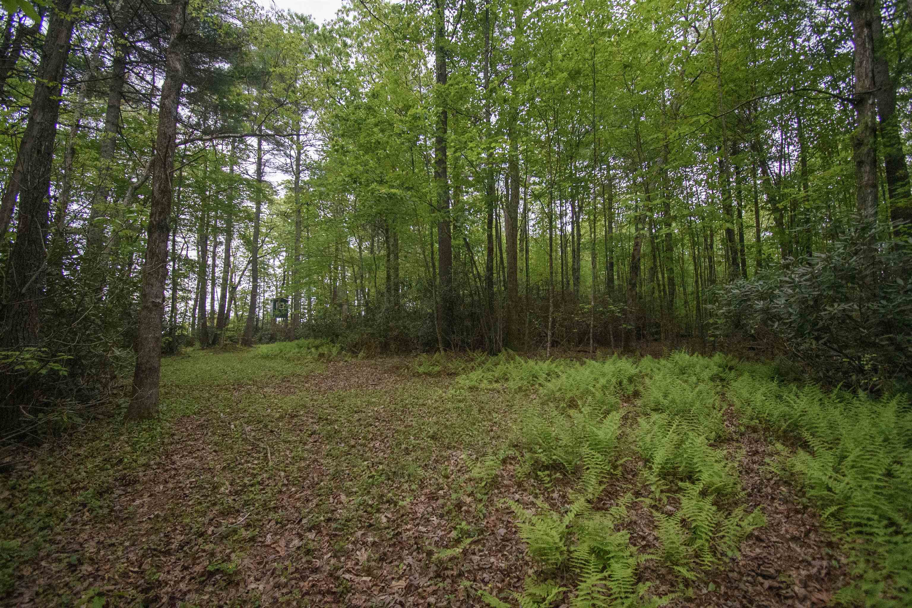 Tbd Keno Road Laurel Fork VA 24352