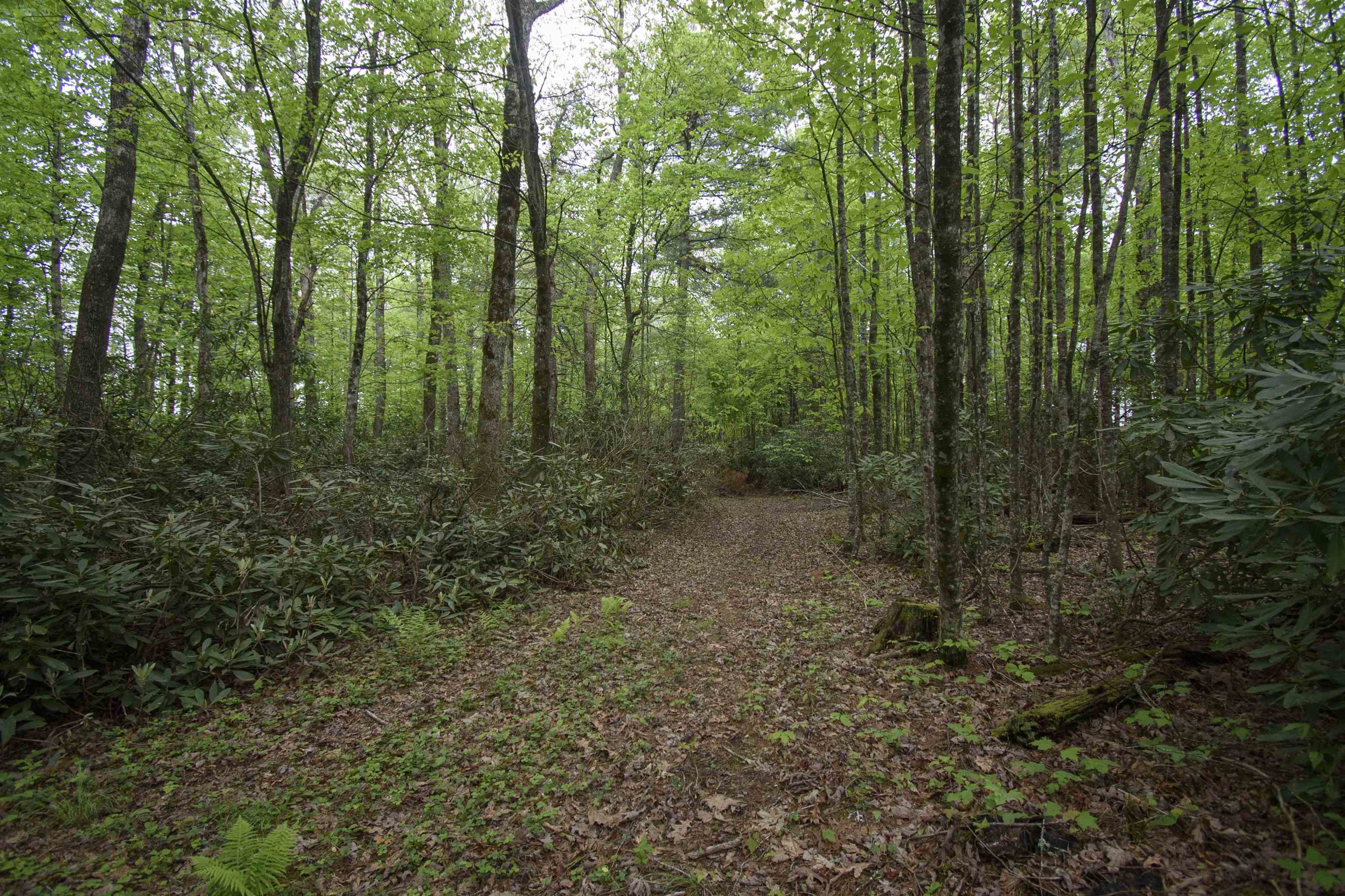 Tbd Keno Road Laurel Fork VA 24352