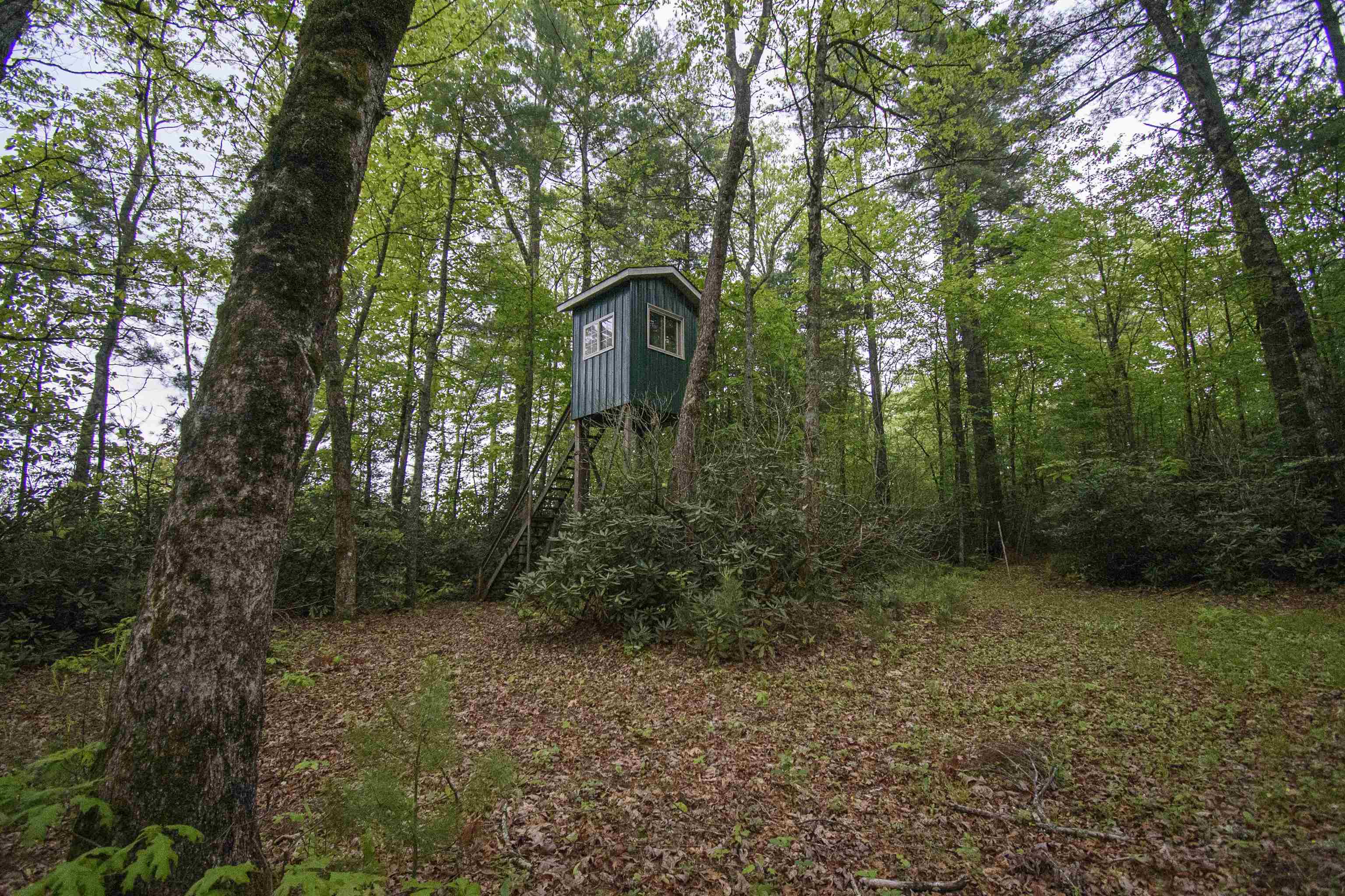 Tbd Keno Road Laurel Fork VA 24352