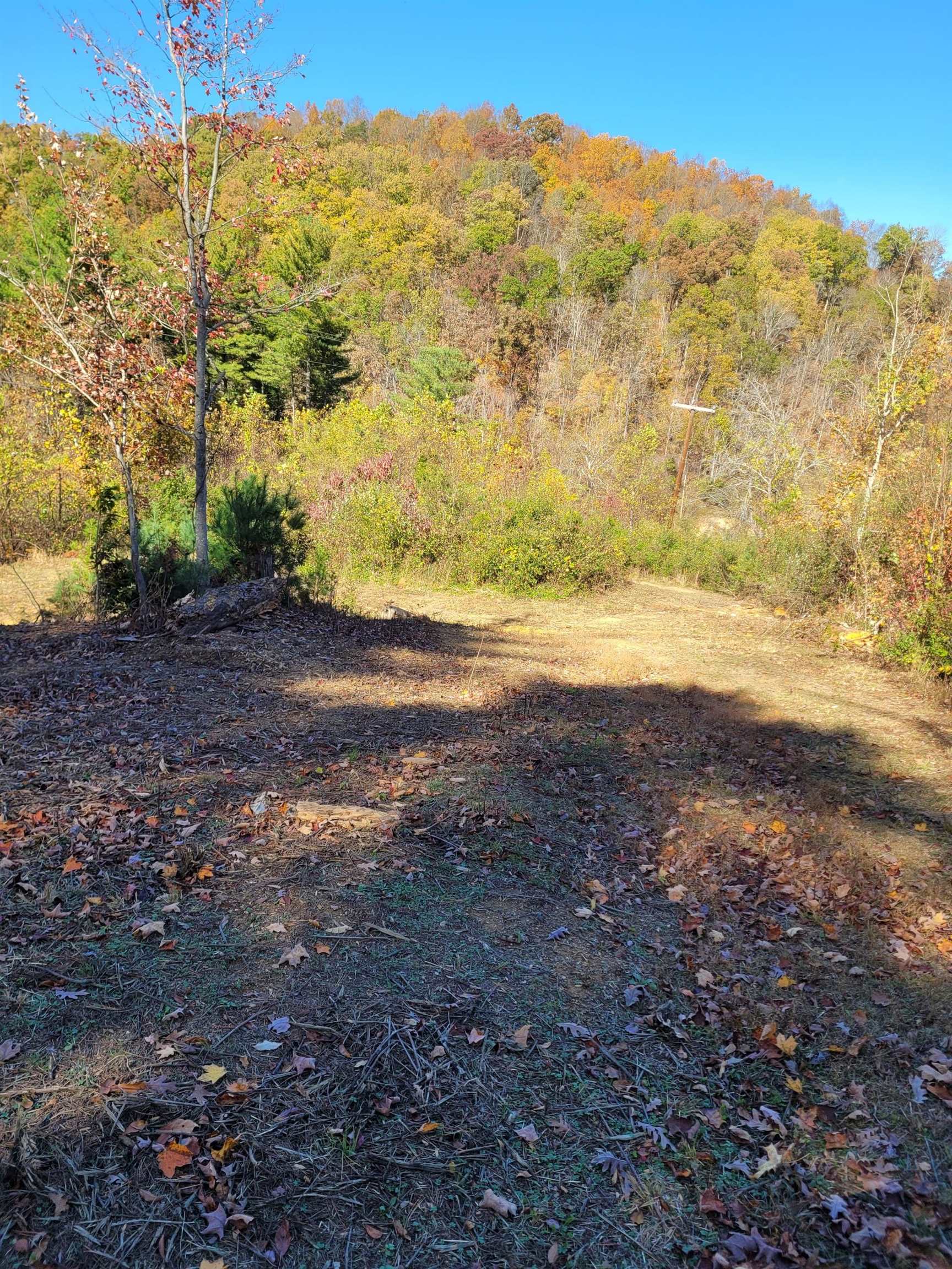 Tbd Lot B/10.5a Phillips Hollow Road Hiwassee VA 24347