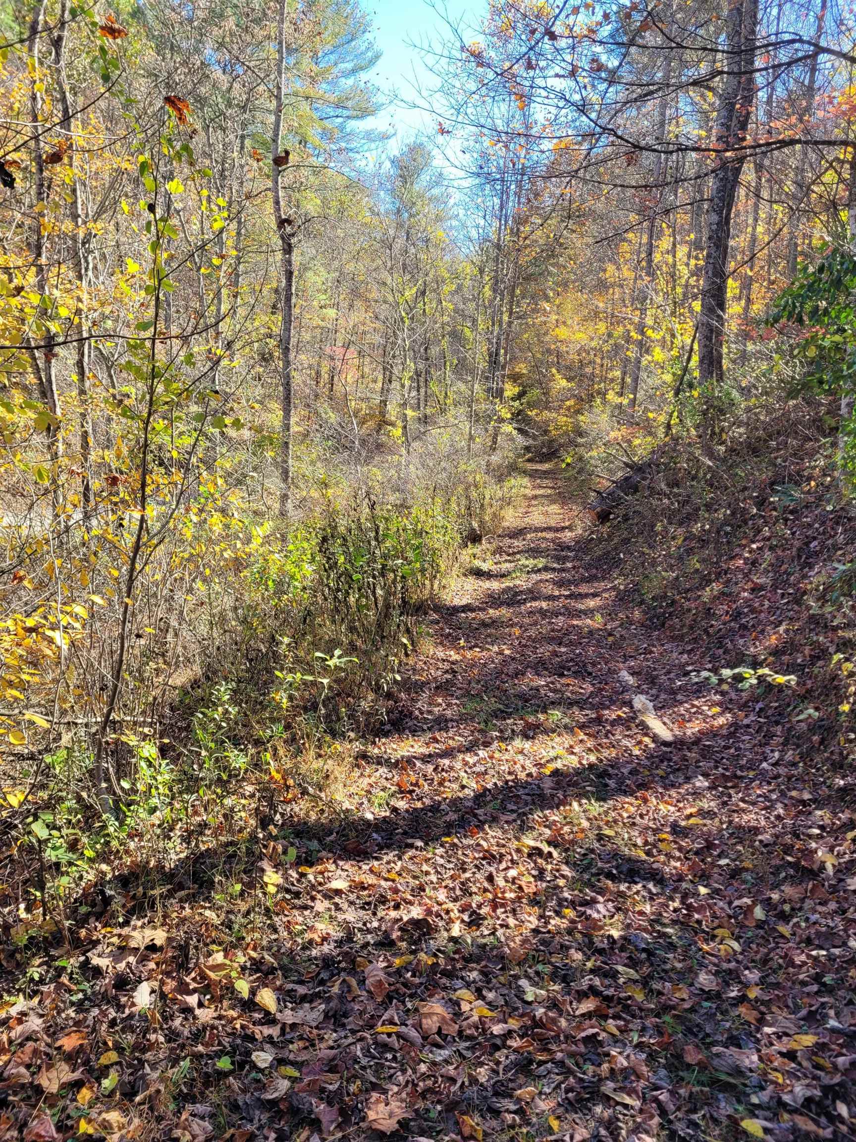 Tbd Lot B/10.5a Phillips Hollow Road Hiwassee VA 24347