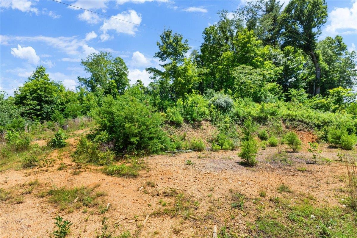 Tbd Lot B/10.5a Phillips Hollow Road Hiwassee VA 24347