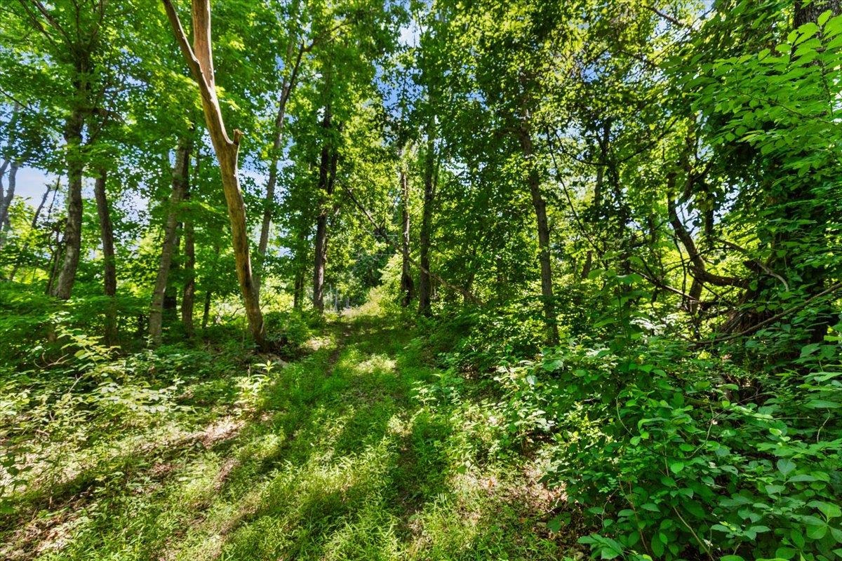 Tbd Lot B/10.5a Phillips Hollow Road Hiwassee VA 24347