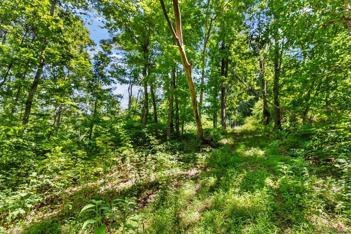 Tbd Lot B/10.5a Phillips Hollow Road Hiwassee VA 24347