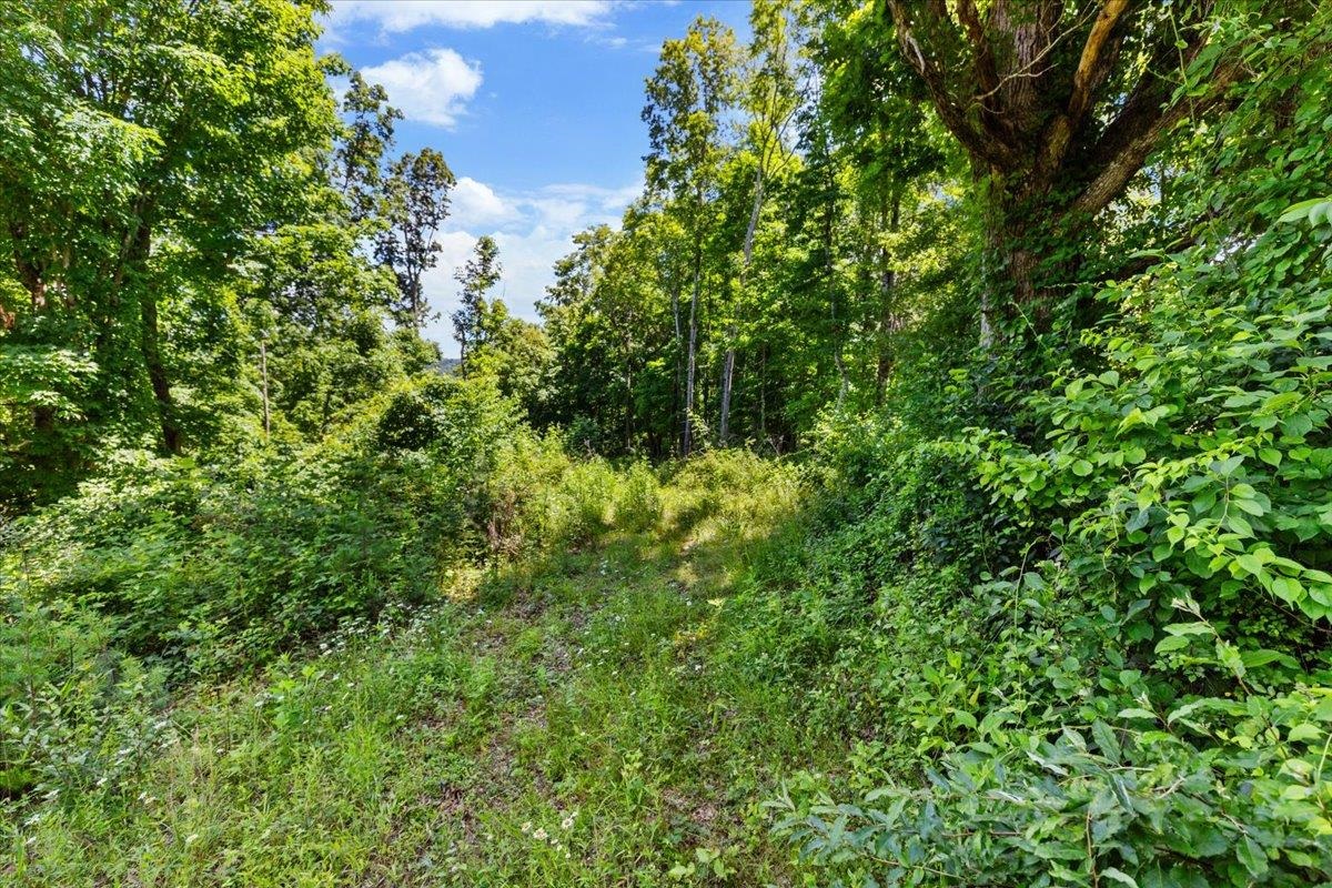 Tbd Lot B/10.5a Phillips Hollow Road Hiwassee VA 24347