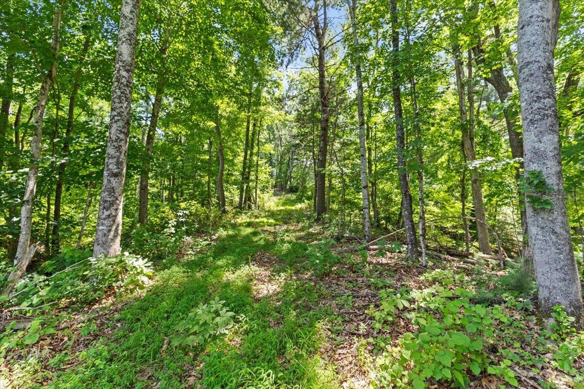 Tbd Lot B/10.5a Phillips Hollow Road Hiwassee VA 24347