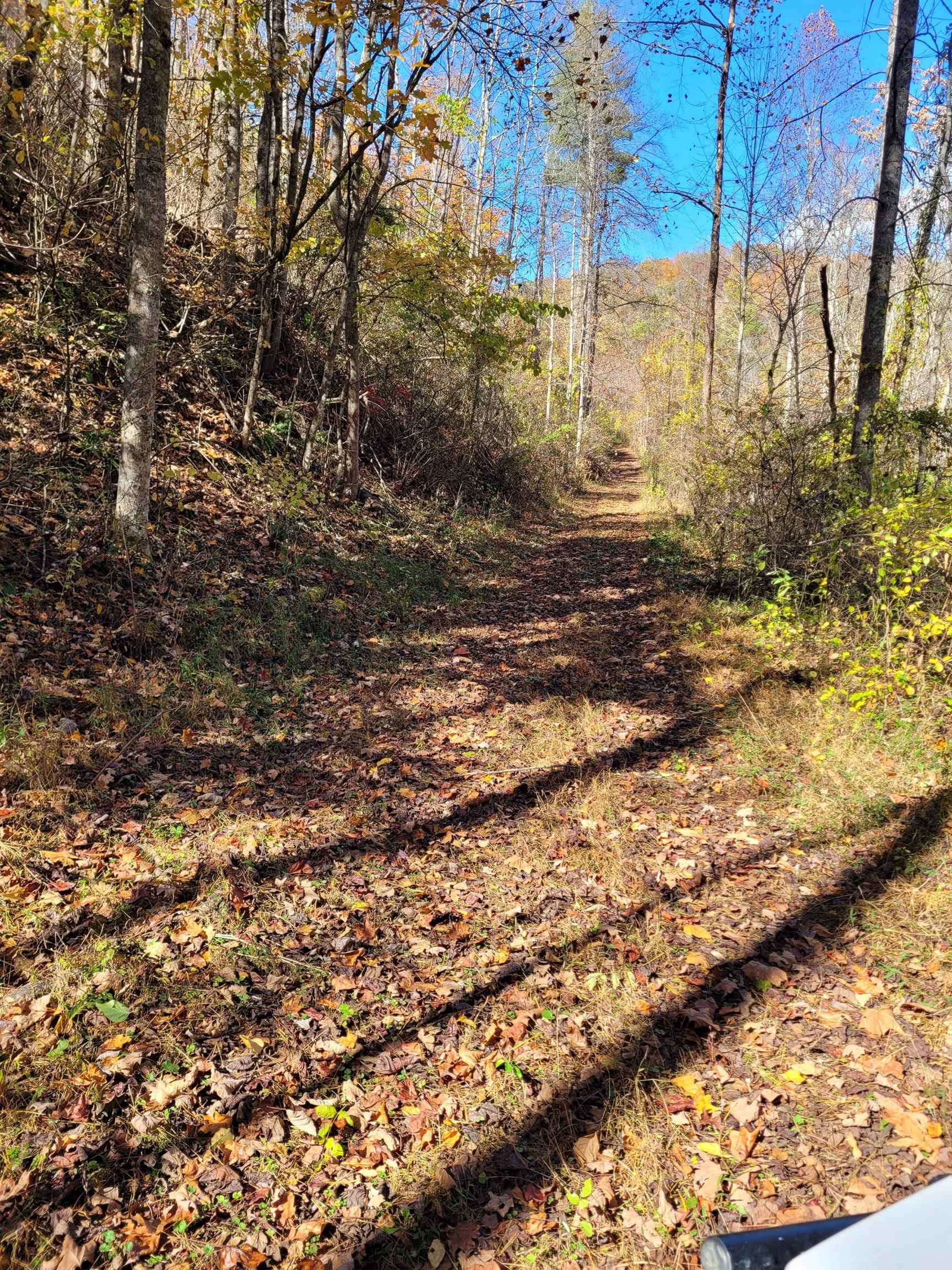 Tbd Lot B/10.5a Phillips Hollow Road Hiwassee VA 24347