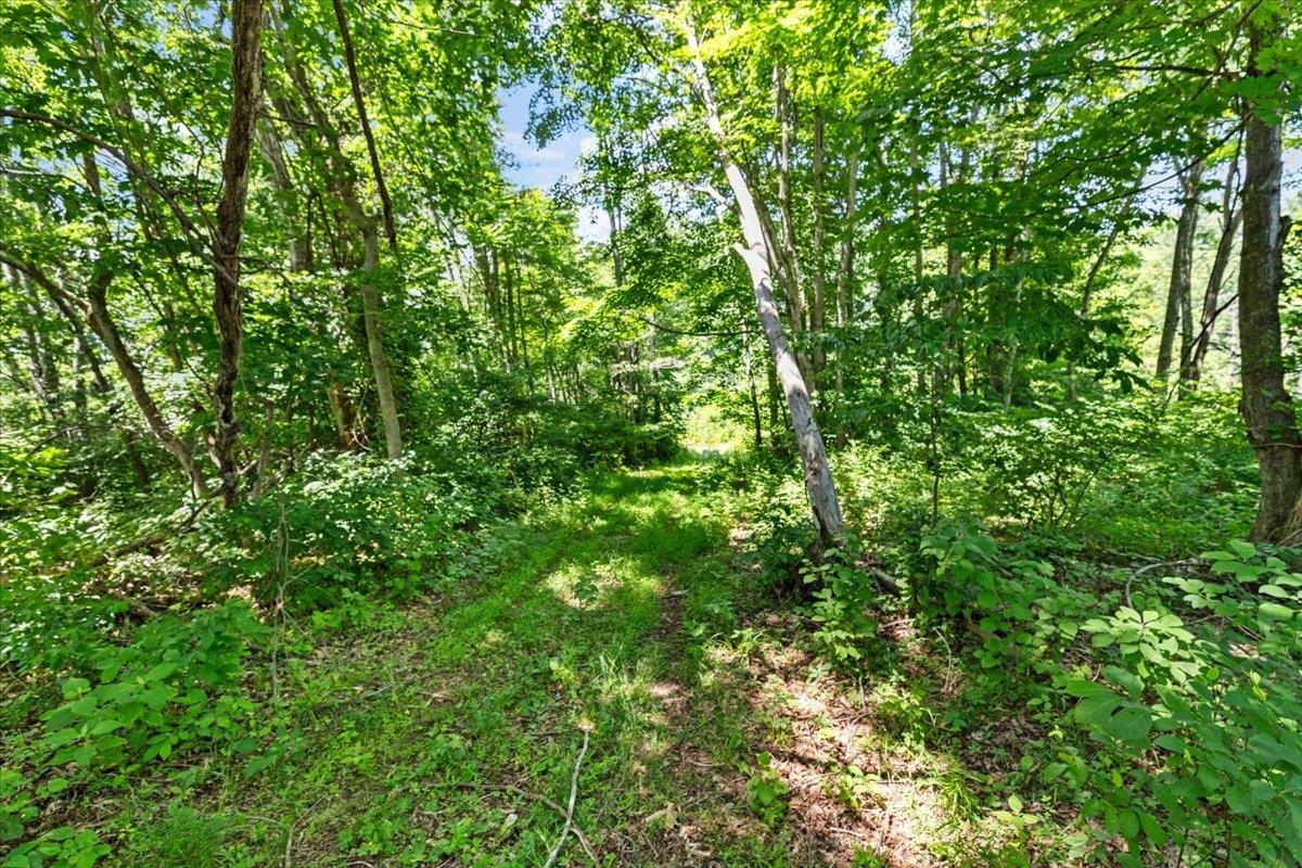 Tbd Lot B/10.5a Phillips Hollow Road Hiwassee VA 24347