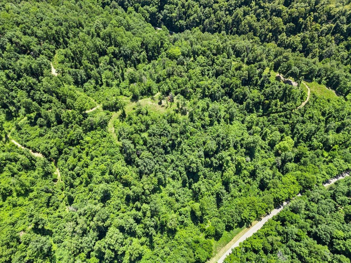 Tbd Lot B/10.5a Phillips Hollow Road Hiwassee VA 24347