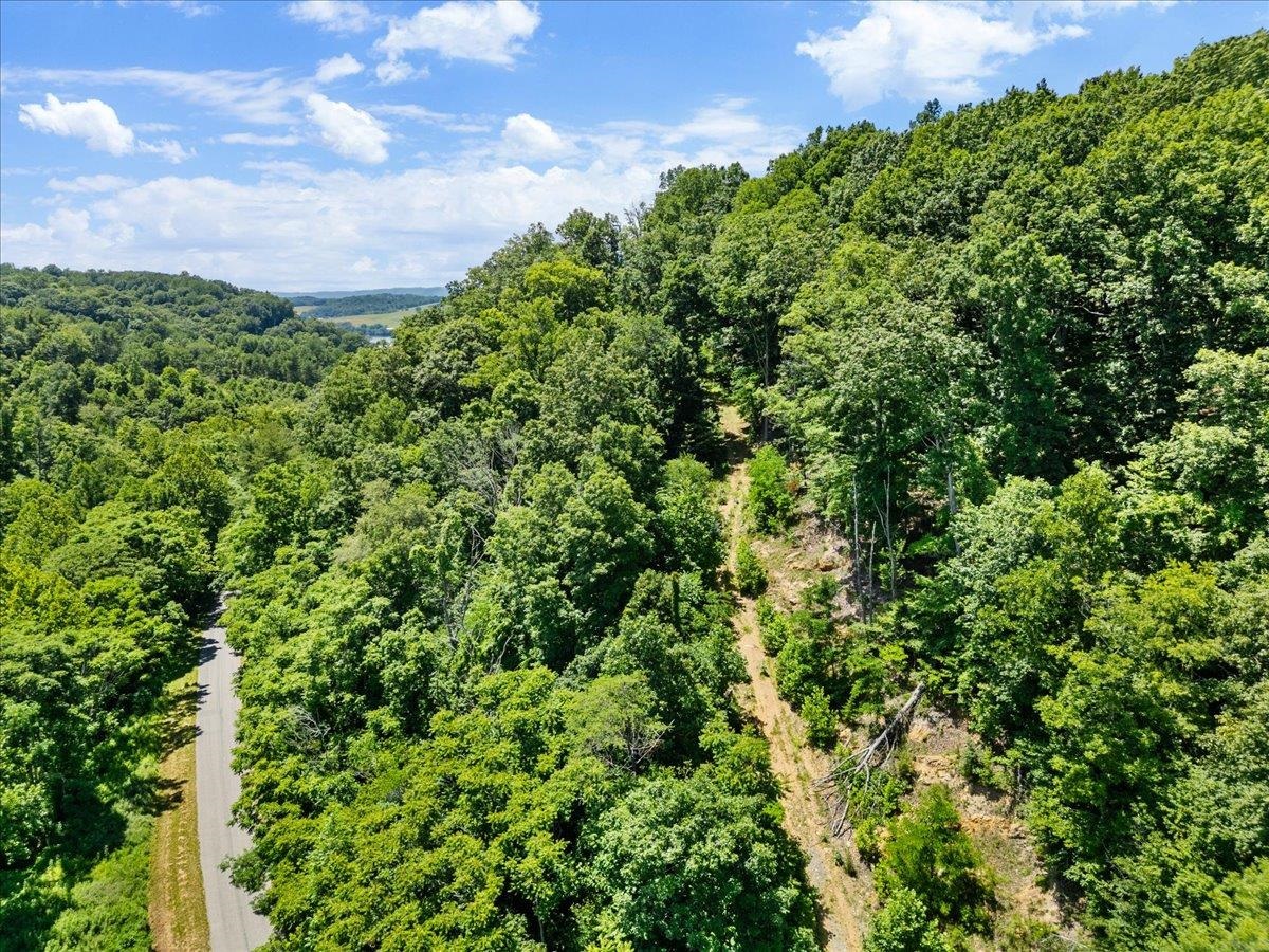 Tbd Lot B/10.5a Phillips Hollow Road Hiwassee VA 24347