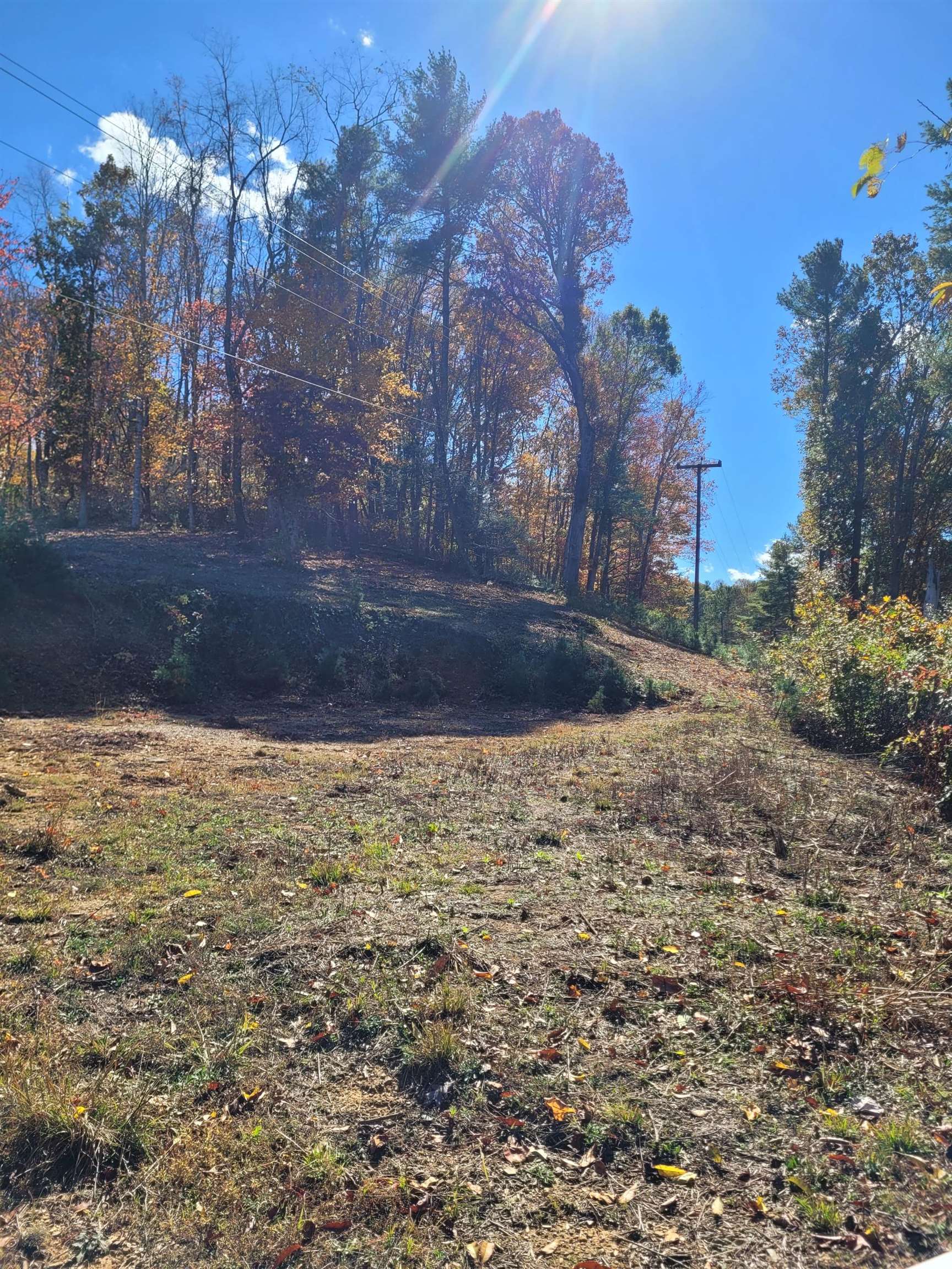 Tbd Lot B/10.5a Phillips Hollow Road Hiwassee VA 24347