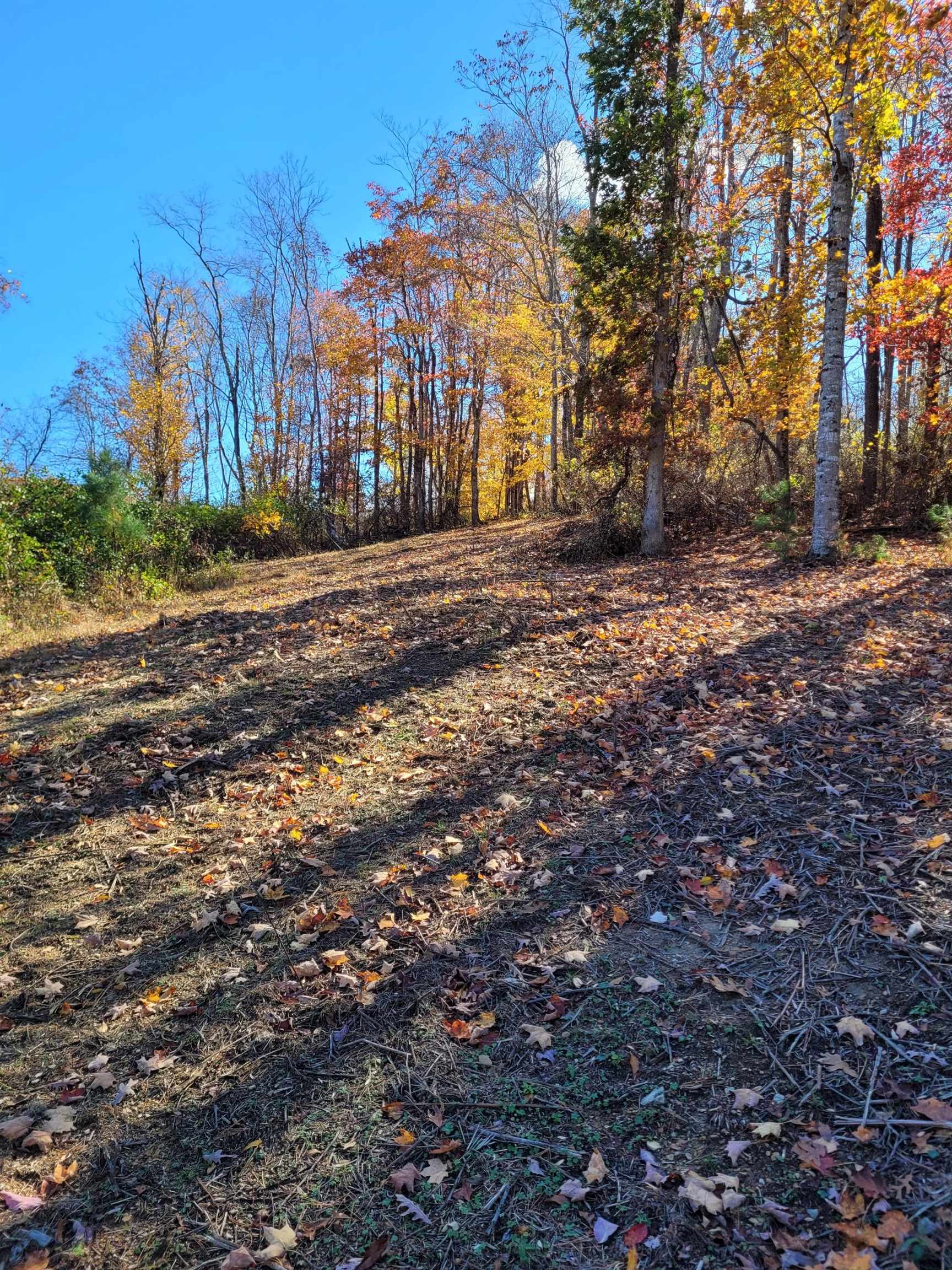 Tbd Lot B/10.5a Phillips Hollow Road Hiwassee VA 24347