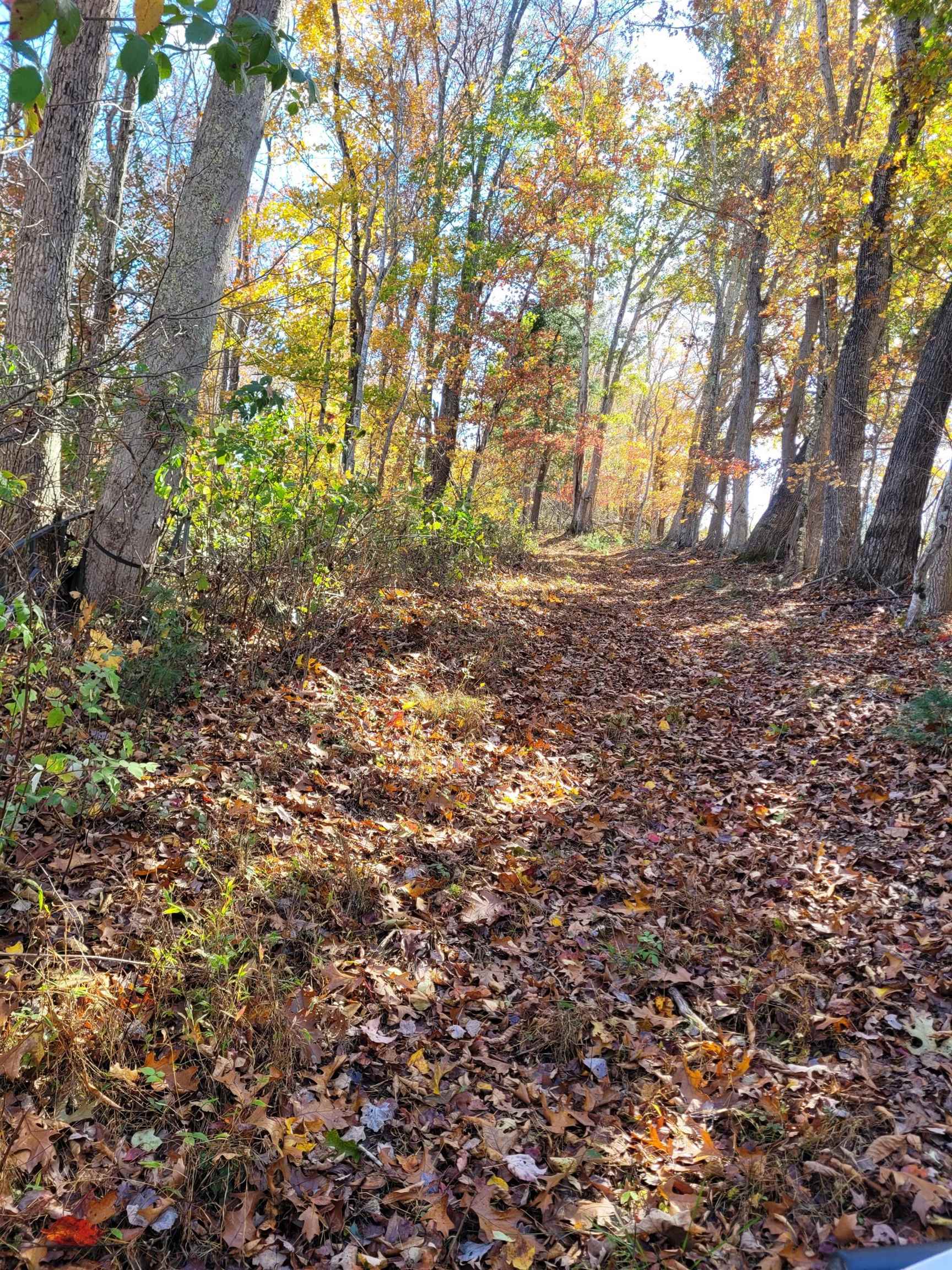 Tbd Lot B/10.5a Phillips Hollow Road Hiwassee VA 24347