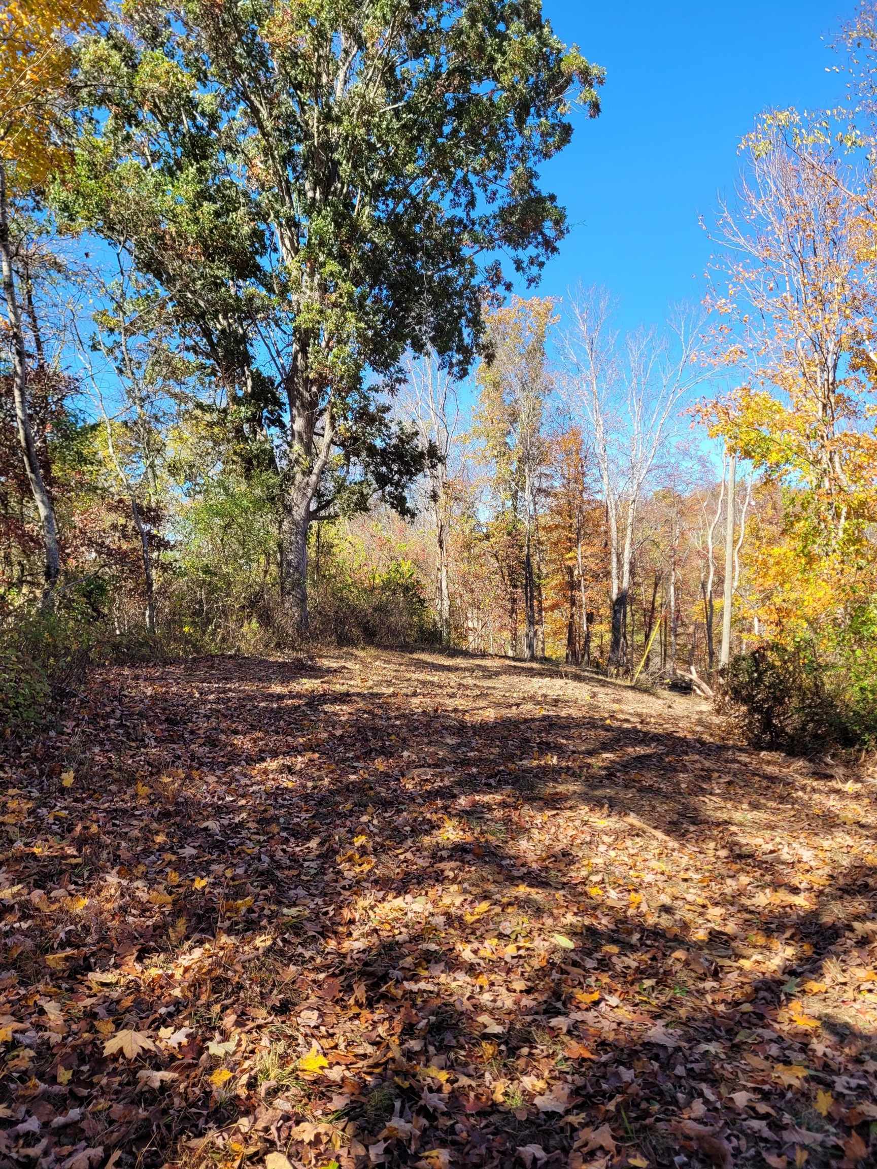 Tbd Lot B/10.5a Phillips Hollow Road Hiwassee VA 24347