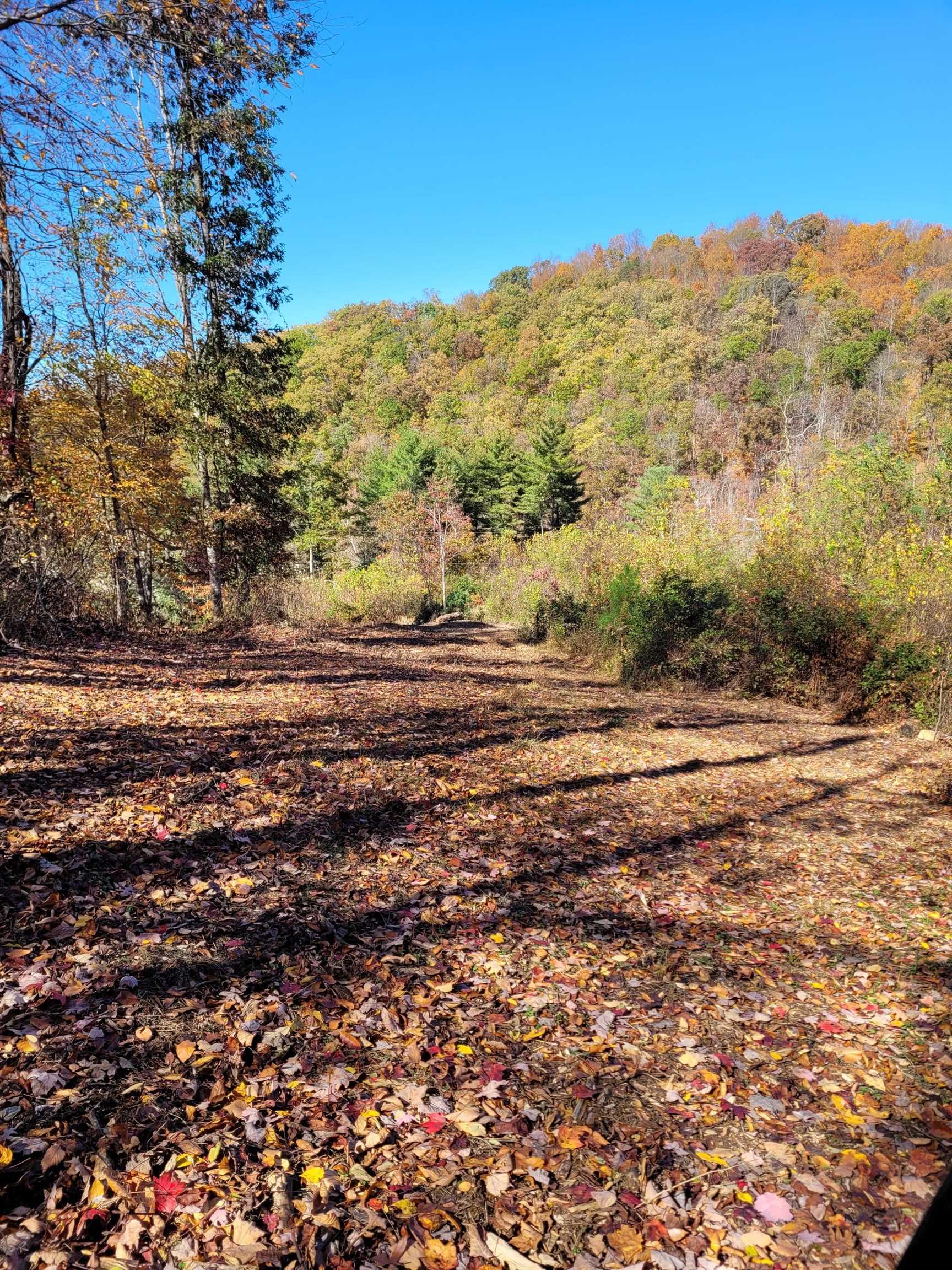 Tbd Lot B/10.5a Phillips Hollow Road Hiwassee VA 24347
