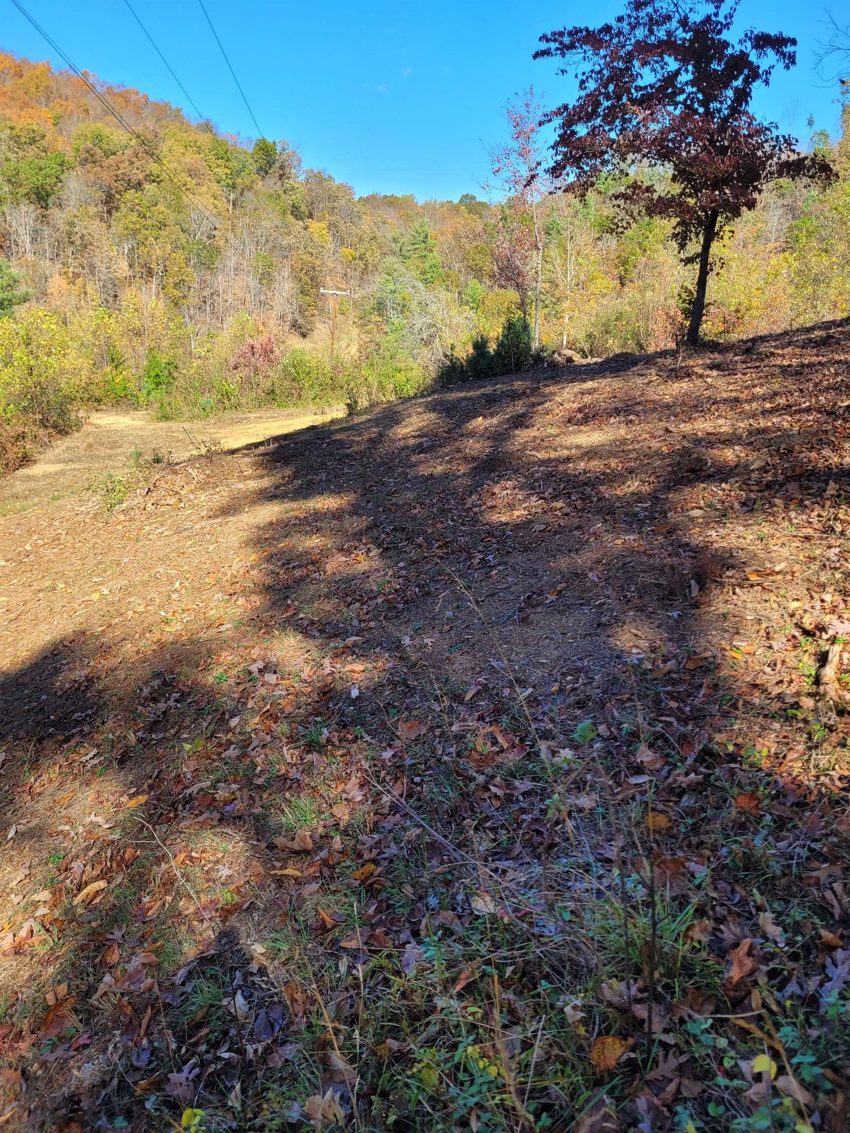 Tbd Lot B/10.5a Phillips Hollow Road Hiwassee VA 24347