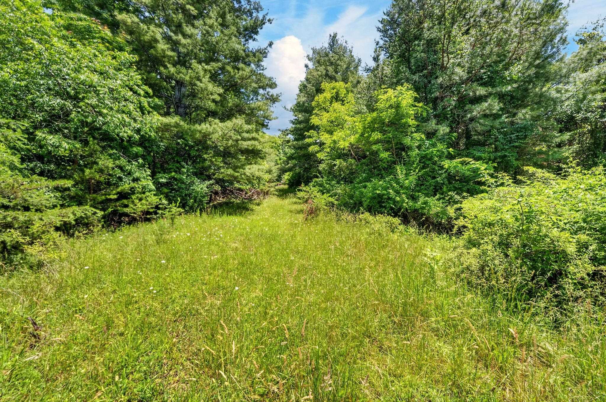 Tbd 50 Acres Thunderstruck Road NE Floyd VA 24091