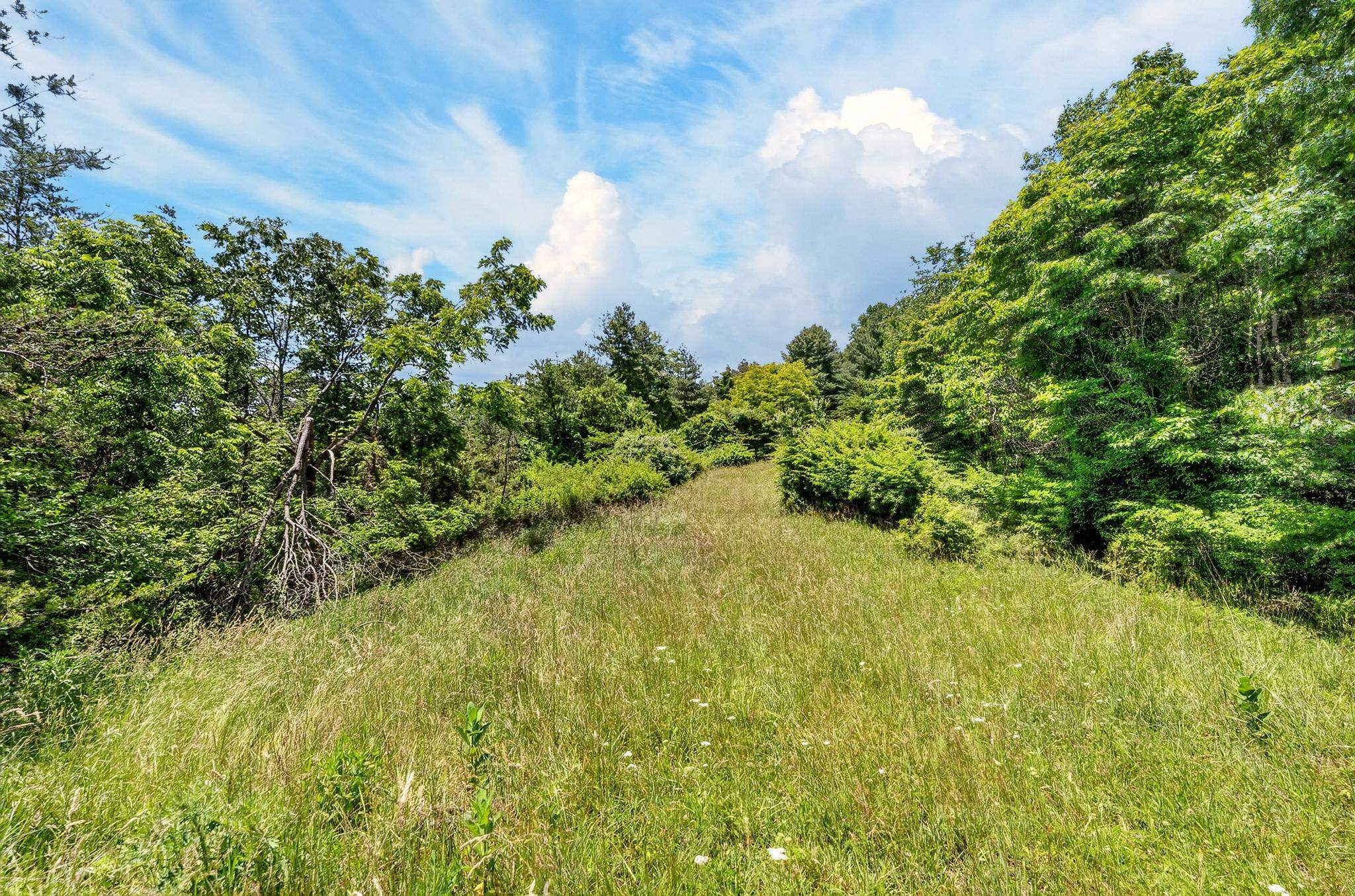 Tbd 50 Acres Thunderstruck Road NE Floyd VA 24091