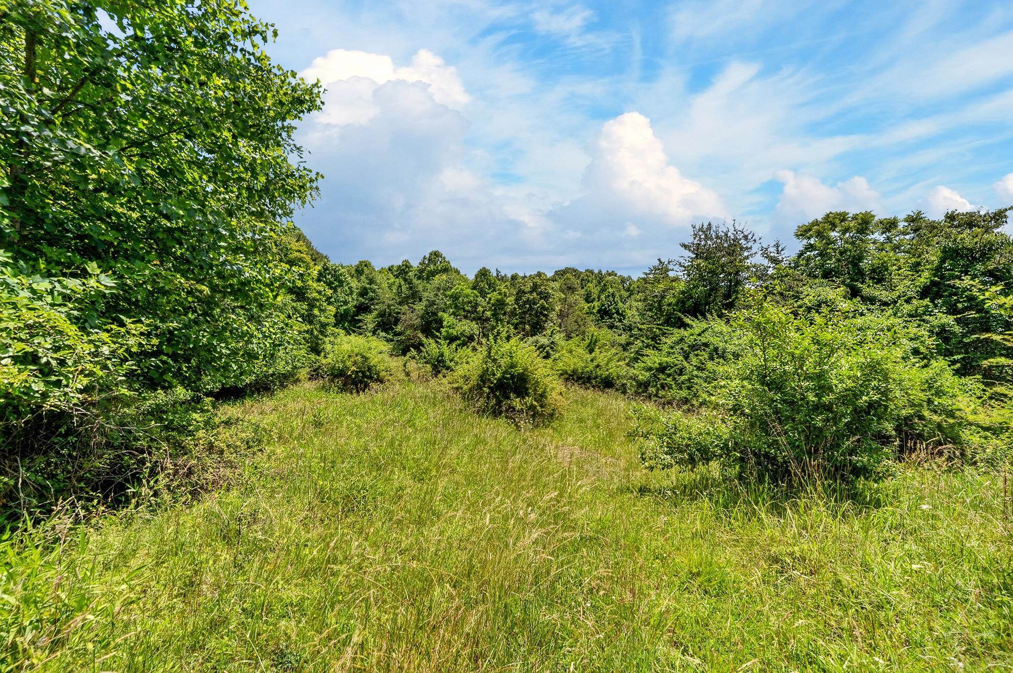 Tbd 50 Acres Thunderstruck Road NE Floyd VA 24091