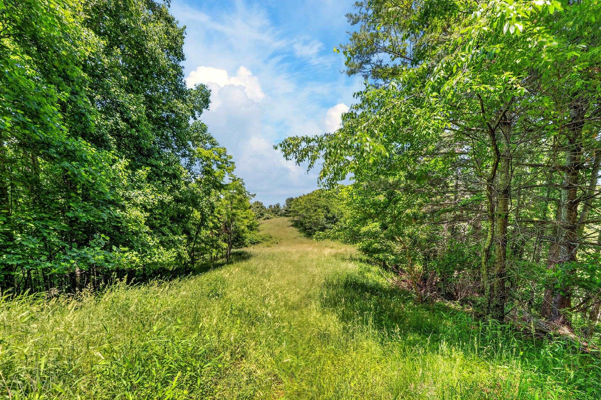 Tbd 50 Acres Thunderstruck Road NE Floyd VA 24091