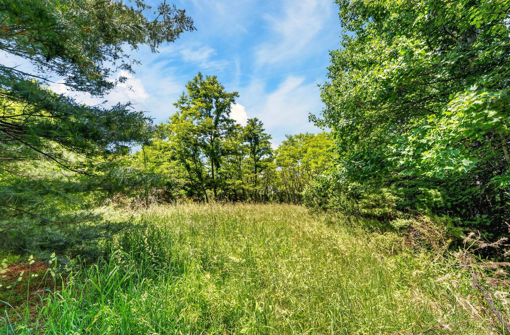 Tbd 50 Acres Thunderstruck Road NE Floyd VA 24091