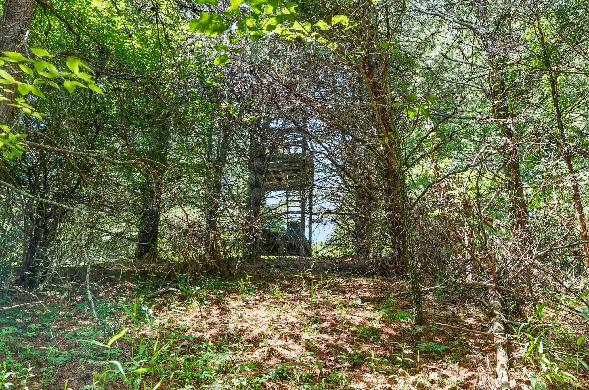 Tbd 50 Acres Thunderstruck Road NE Floyd VA 24091
