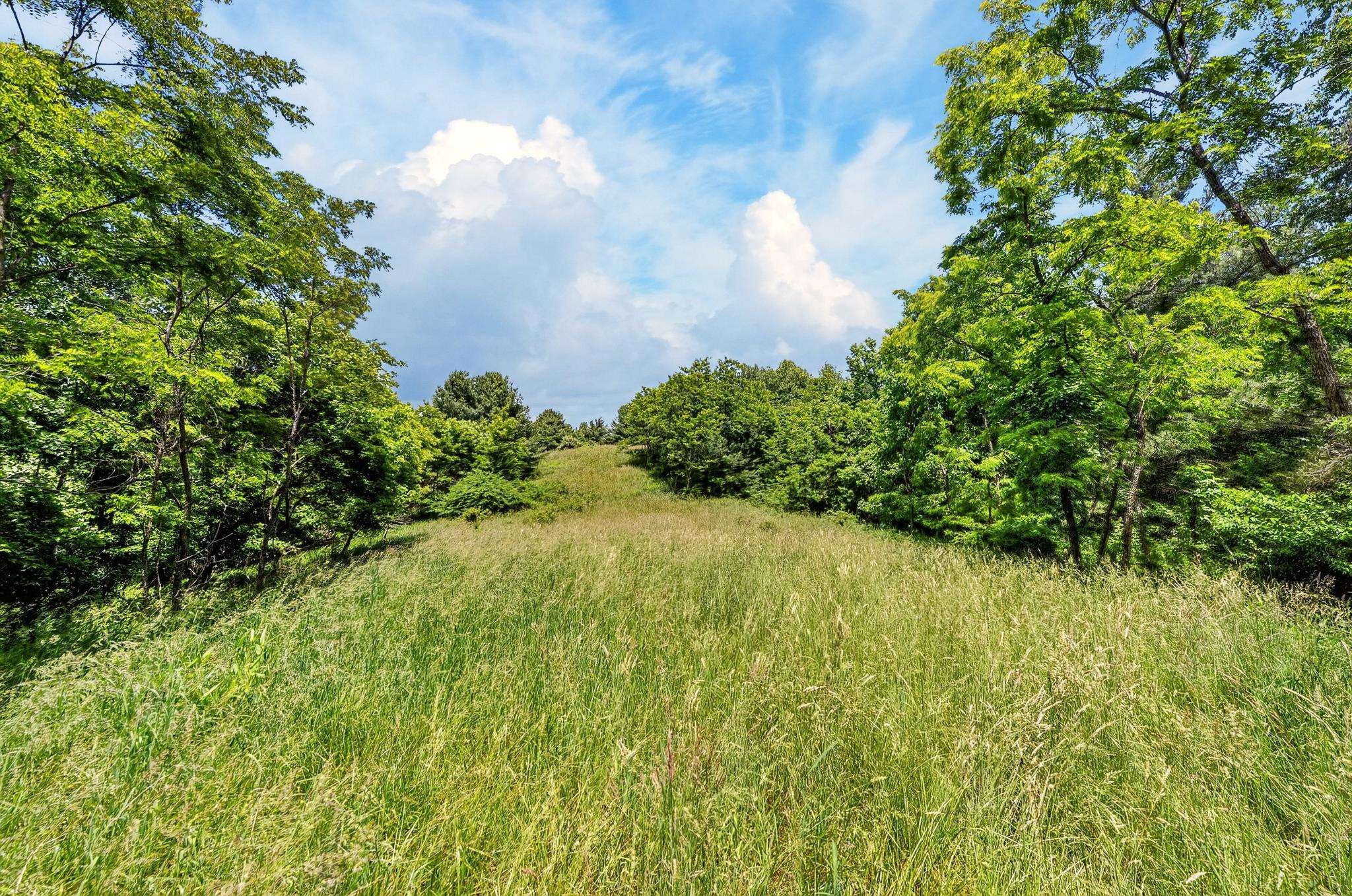Tbd 50 Acres Thunderstruck Road NE Floyd VA 24091