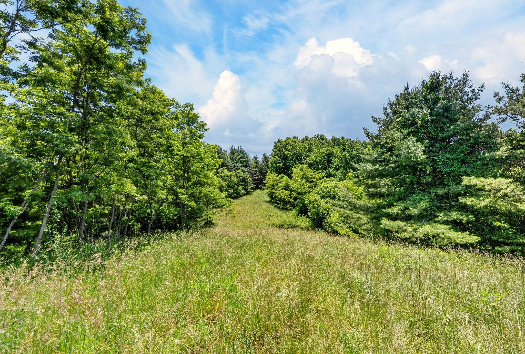 Tbd 50 Acres Thunderstruck Road NE Floyd VA 24091