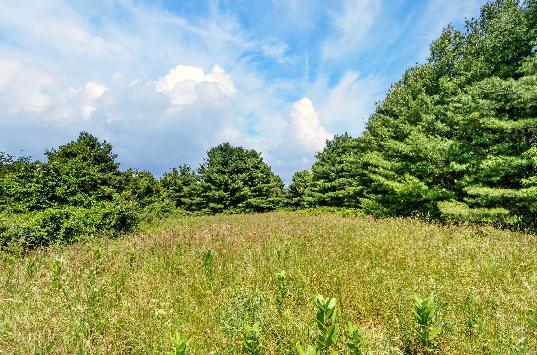 Tbd 50 Acres Thunderstruck Road NE Floyd VA 24091