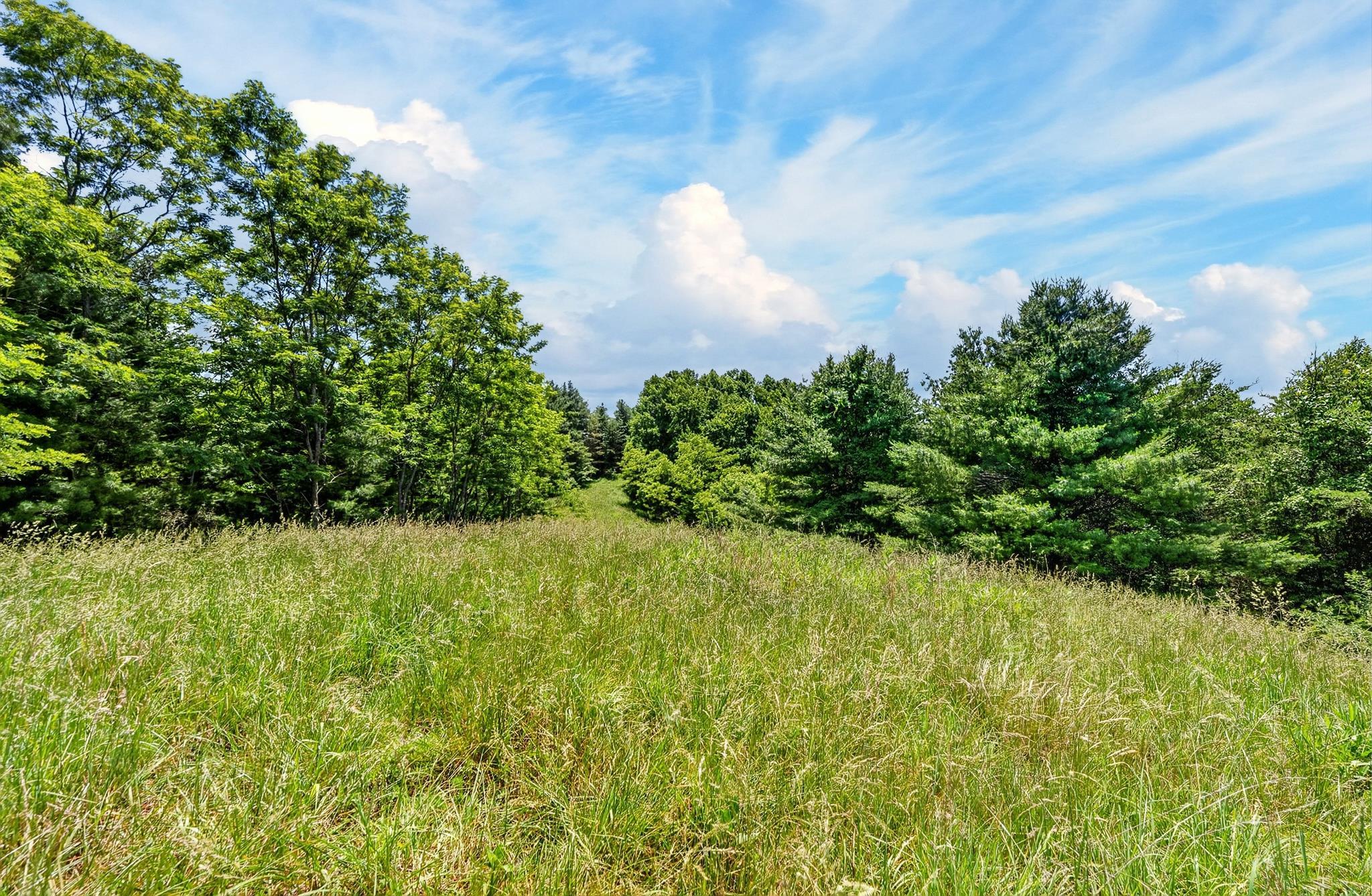 Tbd 50 Acres Thunderstruck Road NE Floyd VA 24091